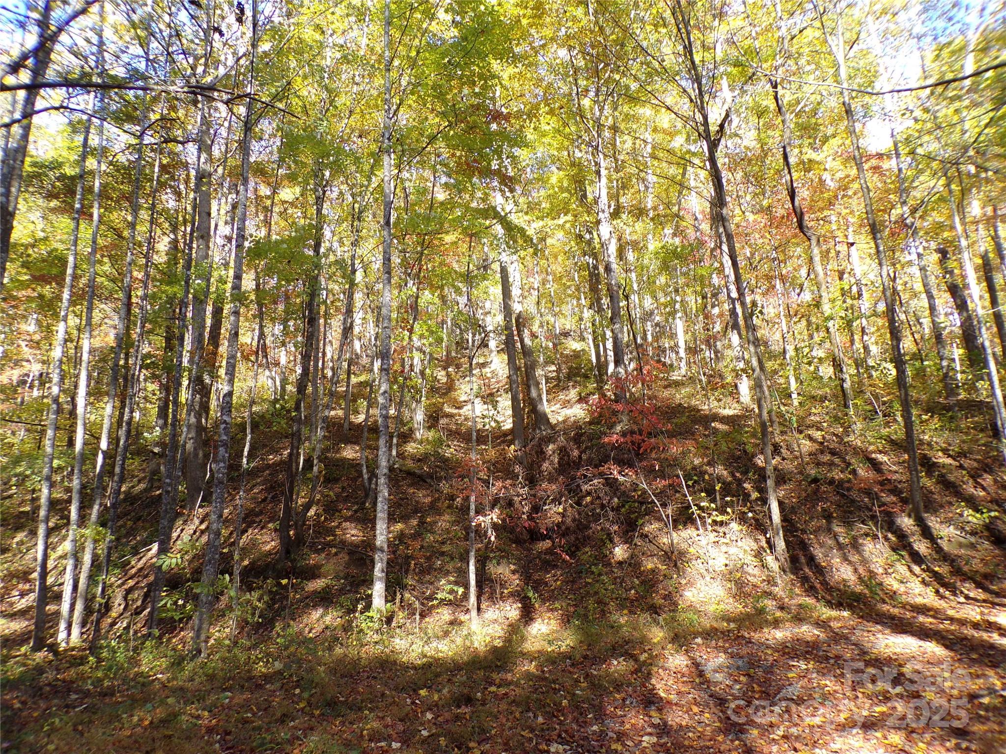 0 High Windy Drive Lot 388