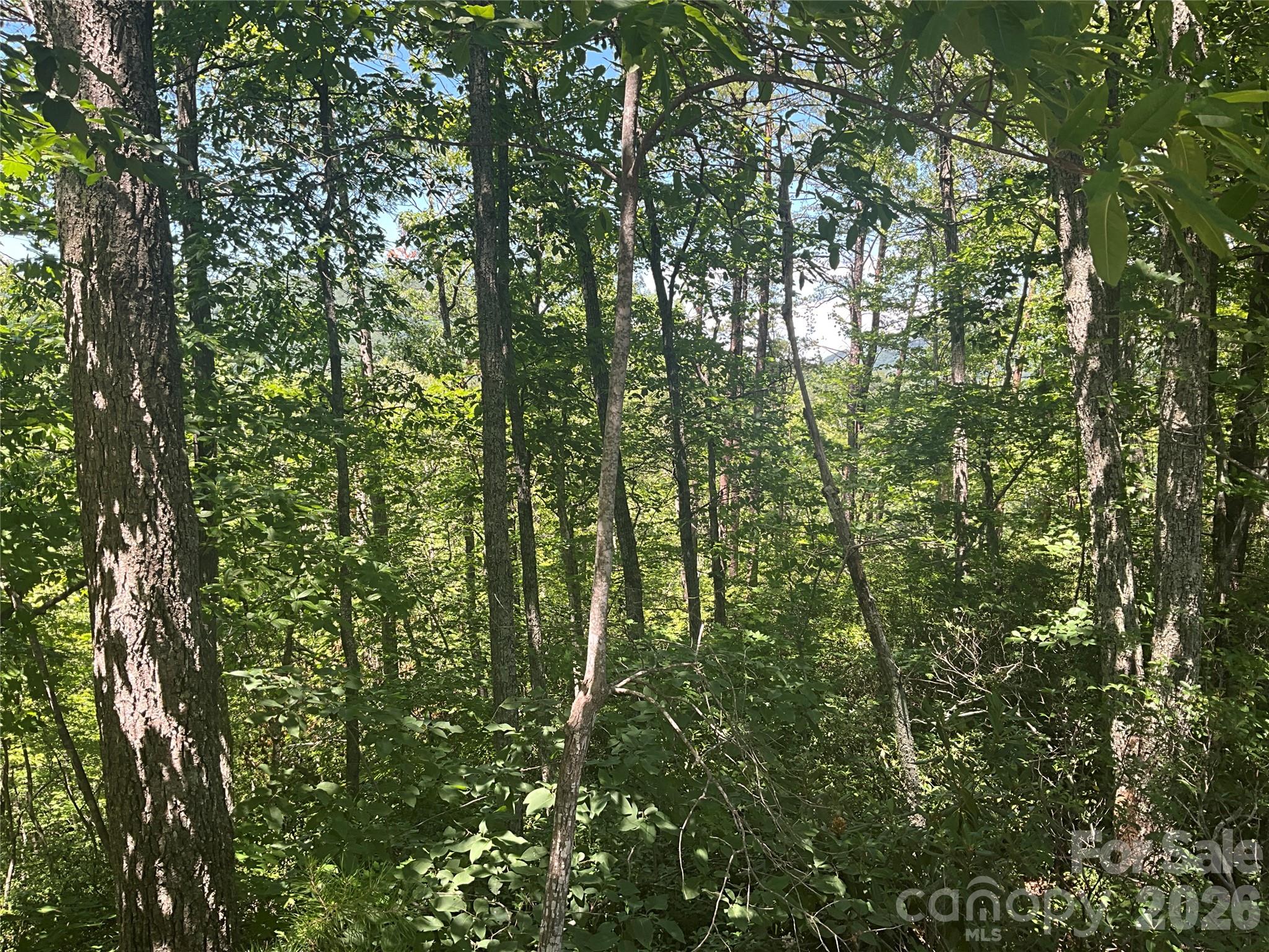 Lot 67 TreeTops Lane