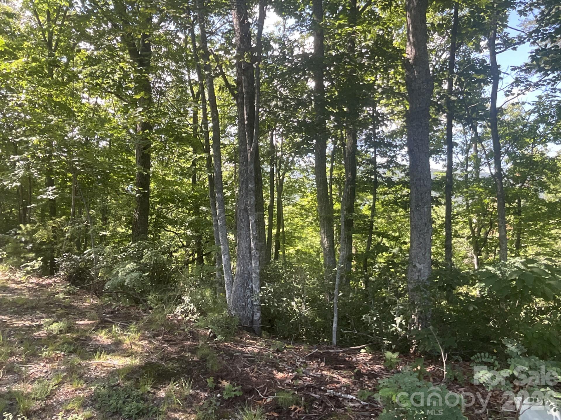 Lot 67 TreeTops Lane