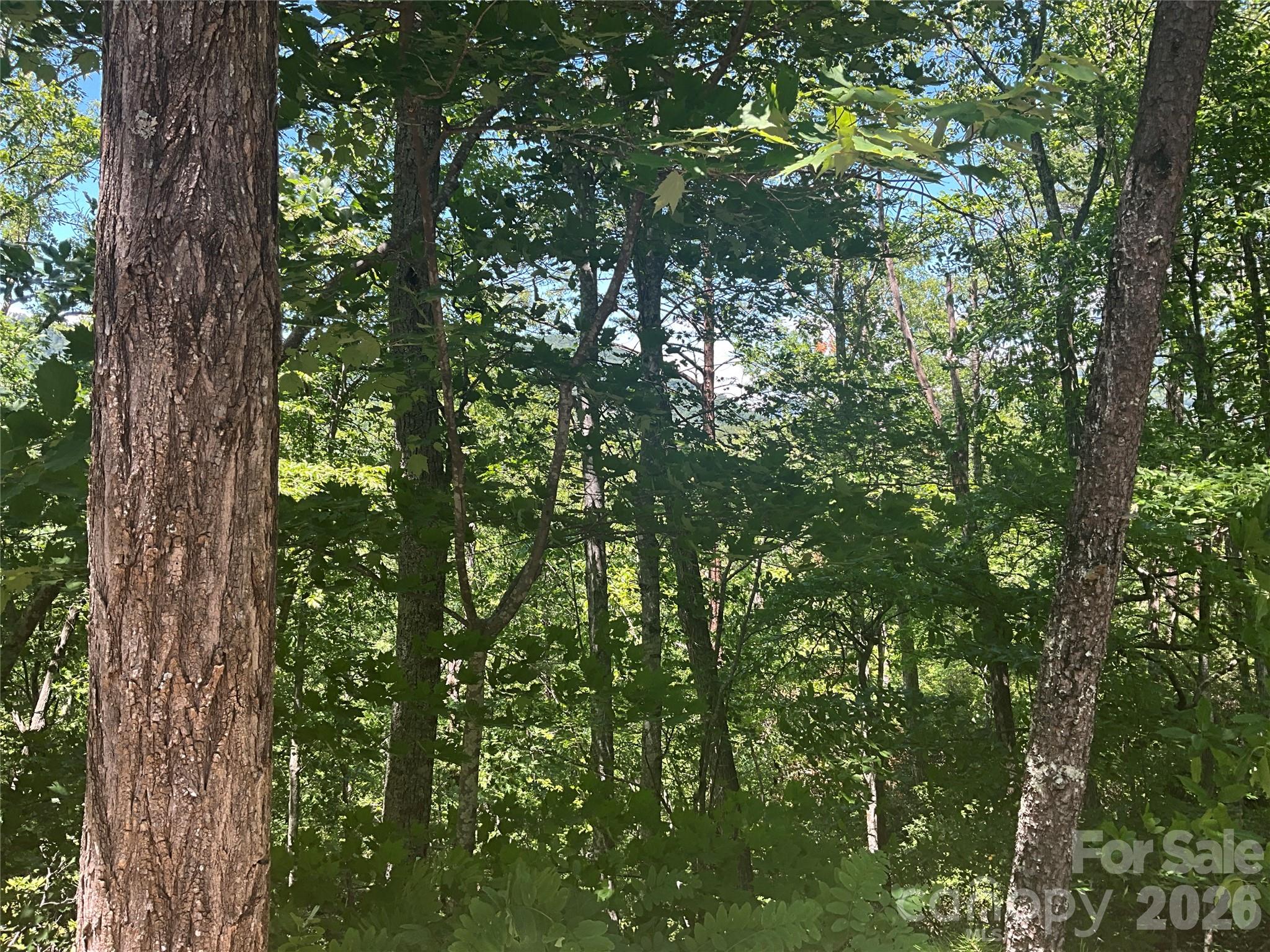 Lot 67 TreeTops Lane