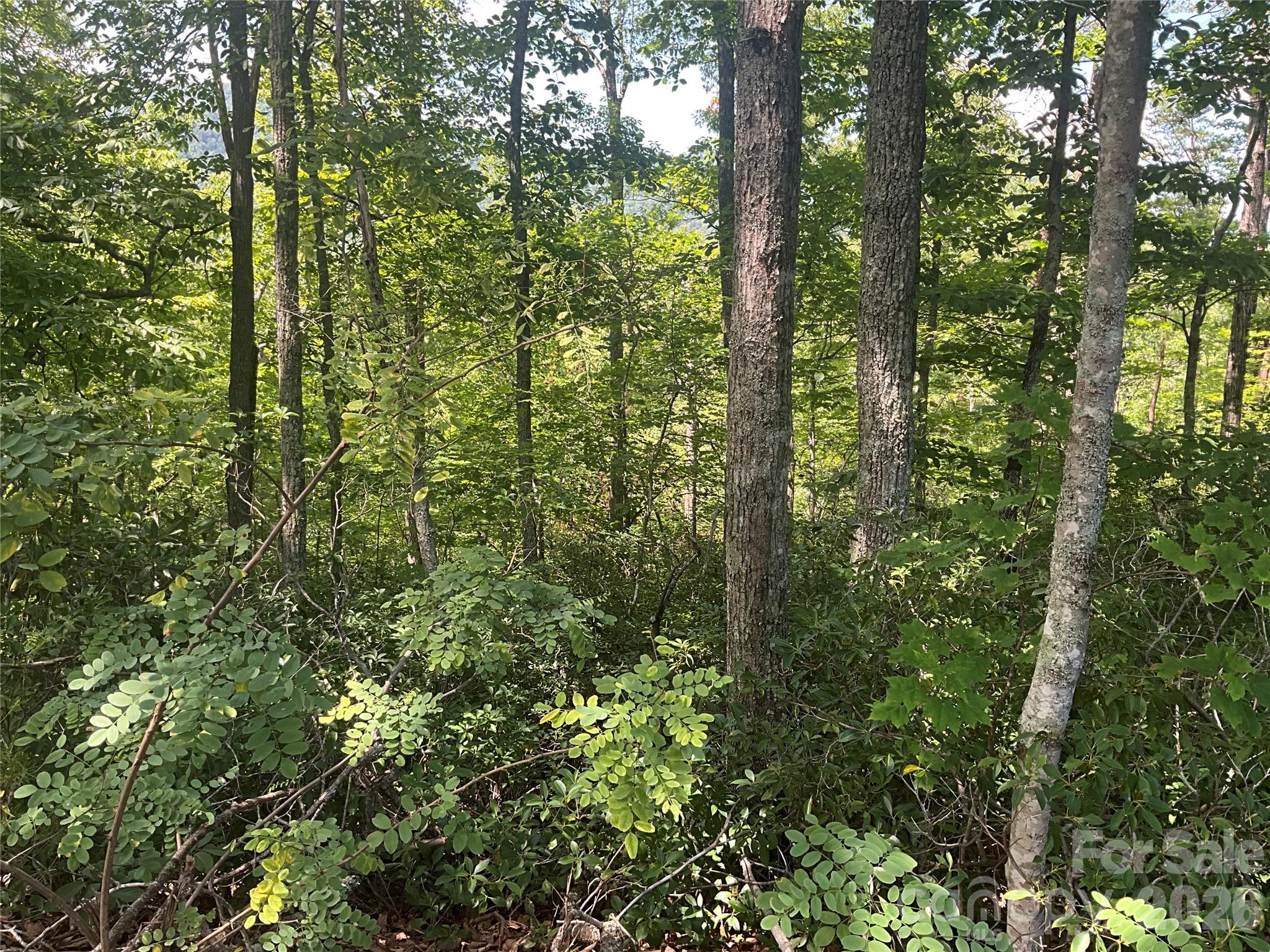 Lot 67 TreeTops Lane
