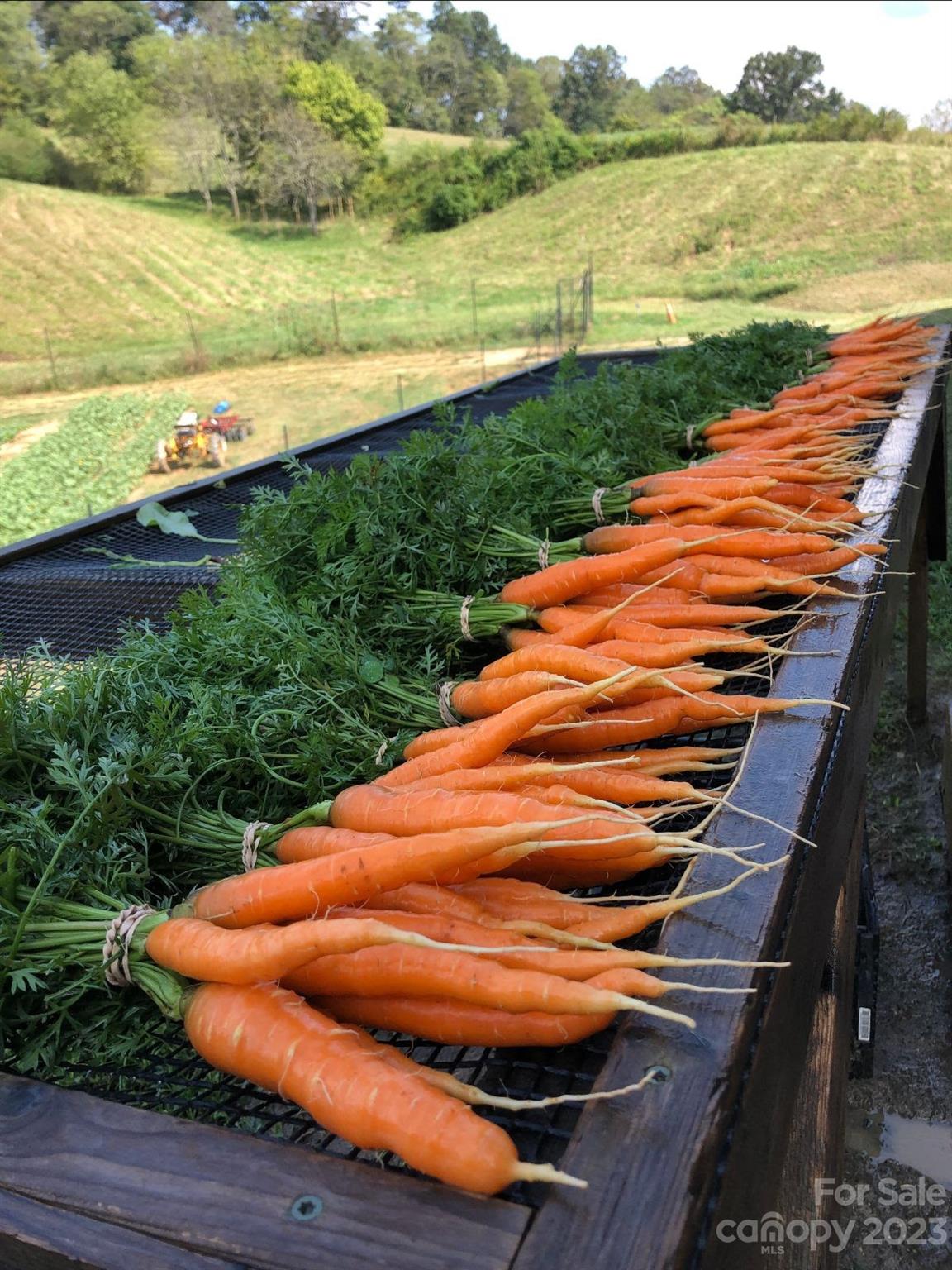 Olivette - Residential