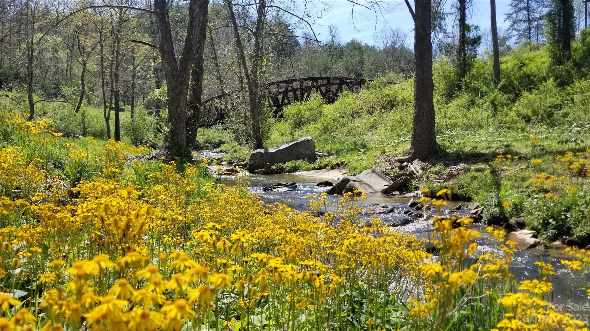 Olivette - Residential