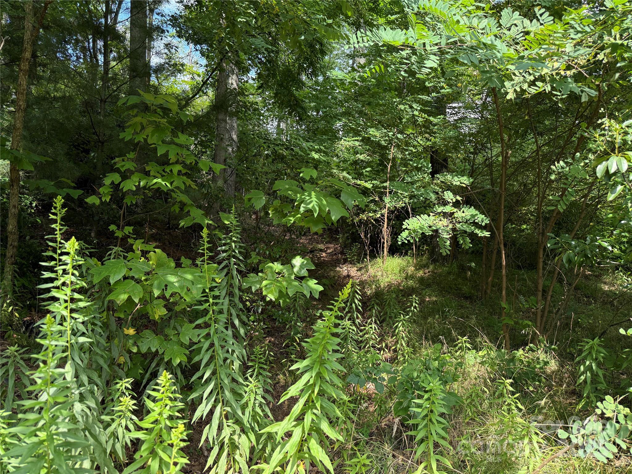 Lot71 Austin Mountain Drive 71/1