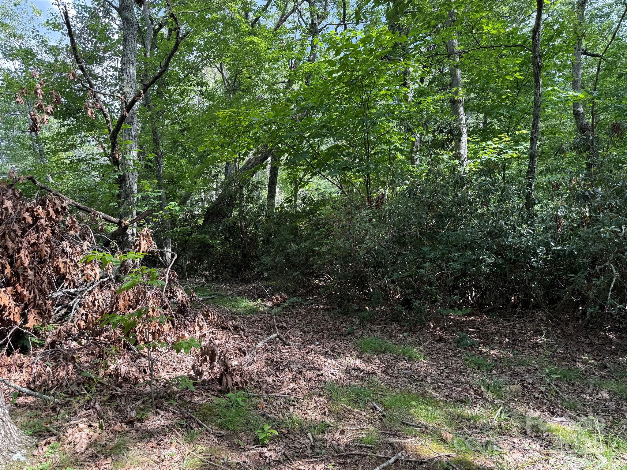 Lot71 Austin Mountain Drive 71/1