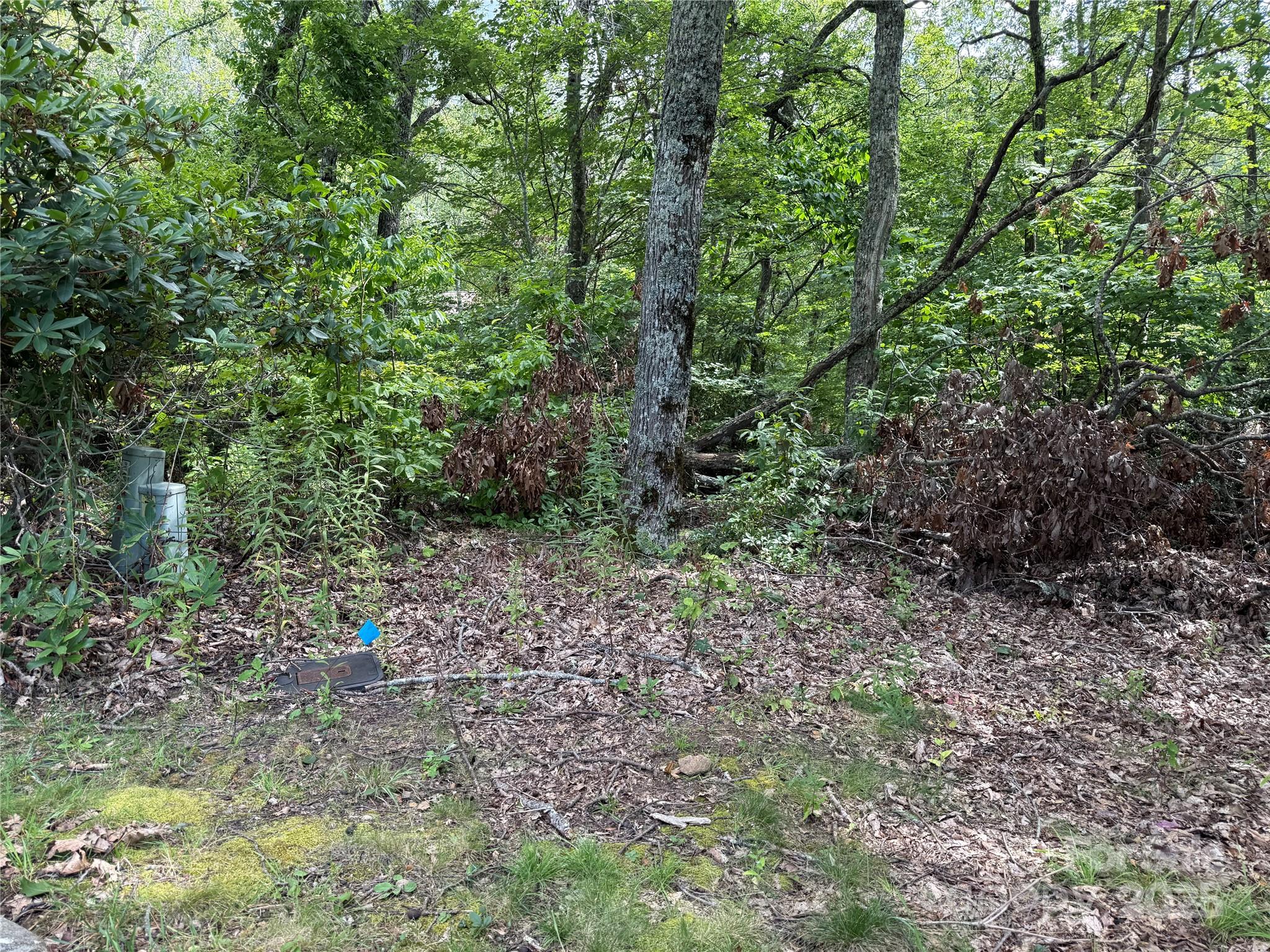 Lot71 Austin Mountain Drive 71/1