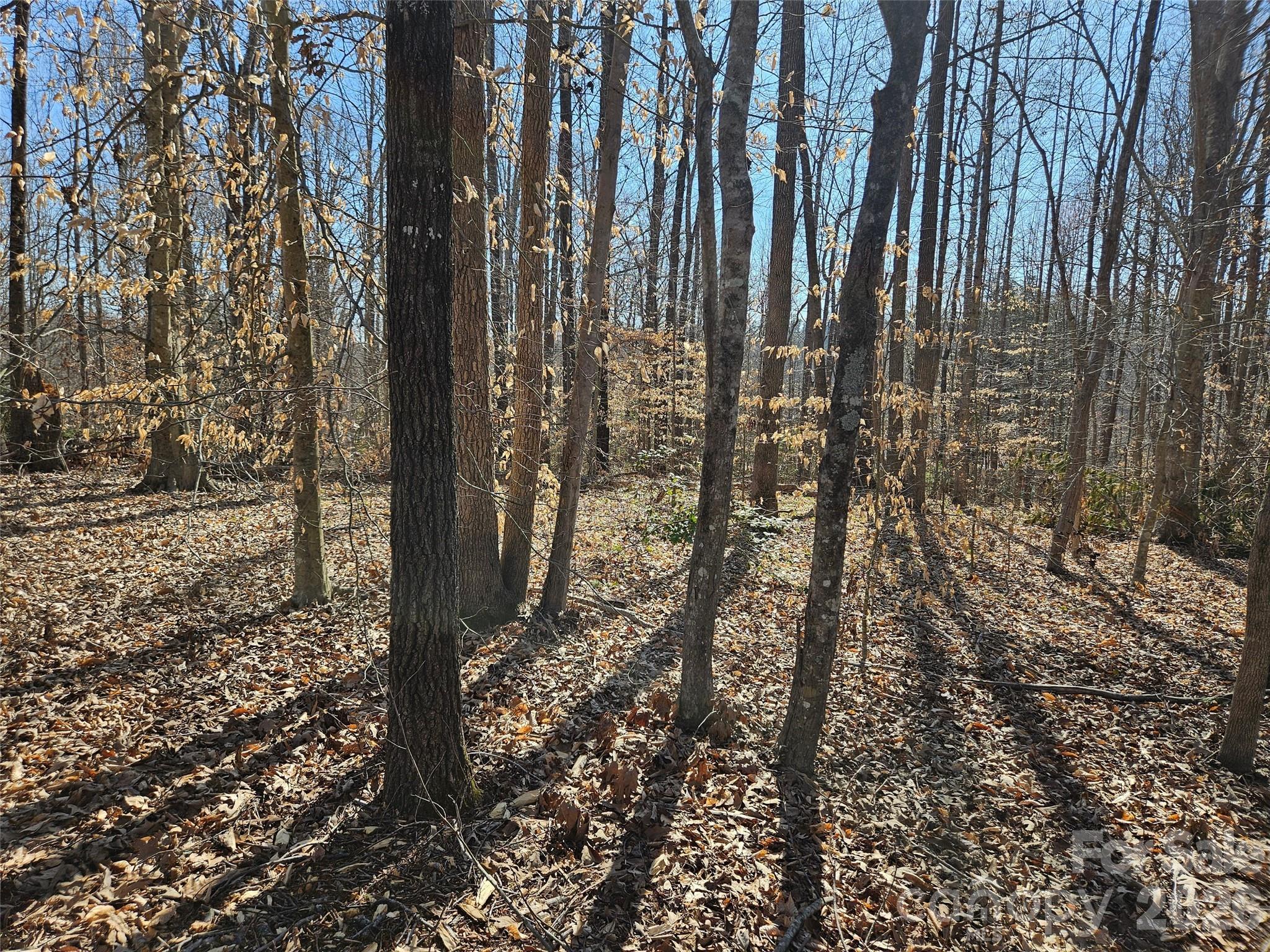 Rutherford Towne - Land