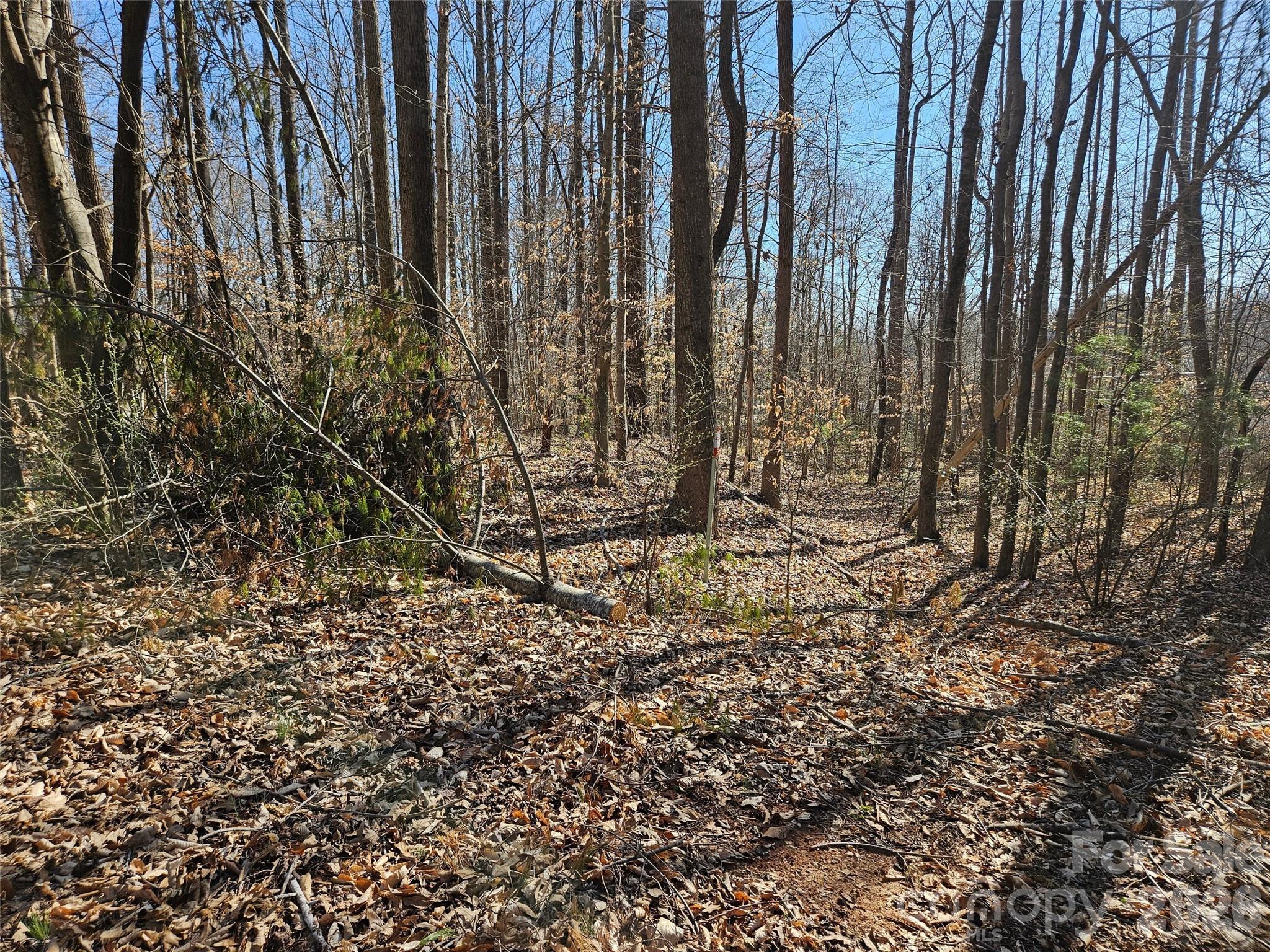 Rutherford Towne - Land