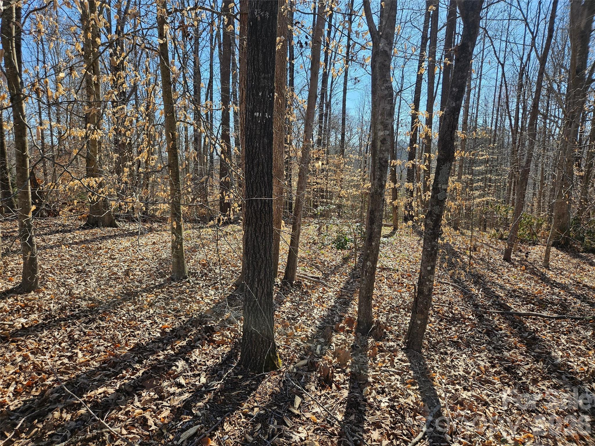 Rutherford Towne - Land