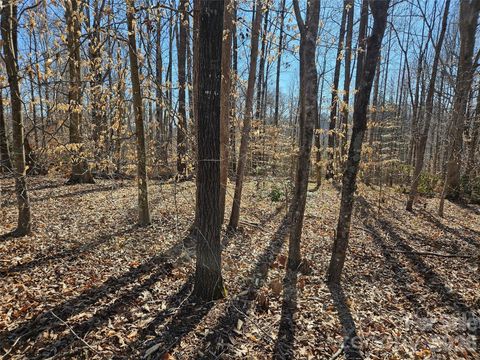 0 General Griffith Circle 37 Rutherfordton NC 28139