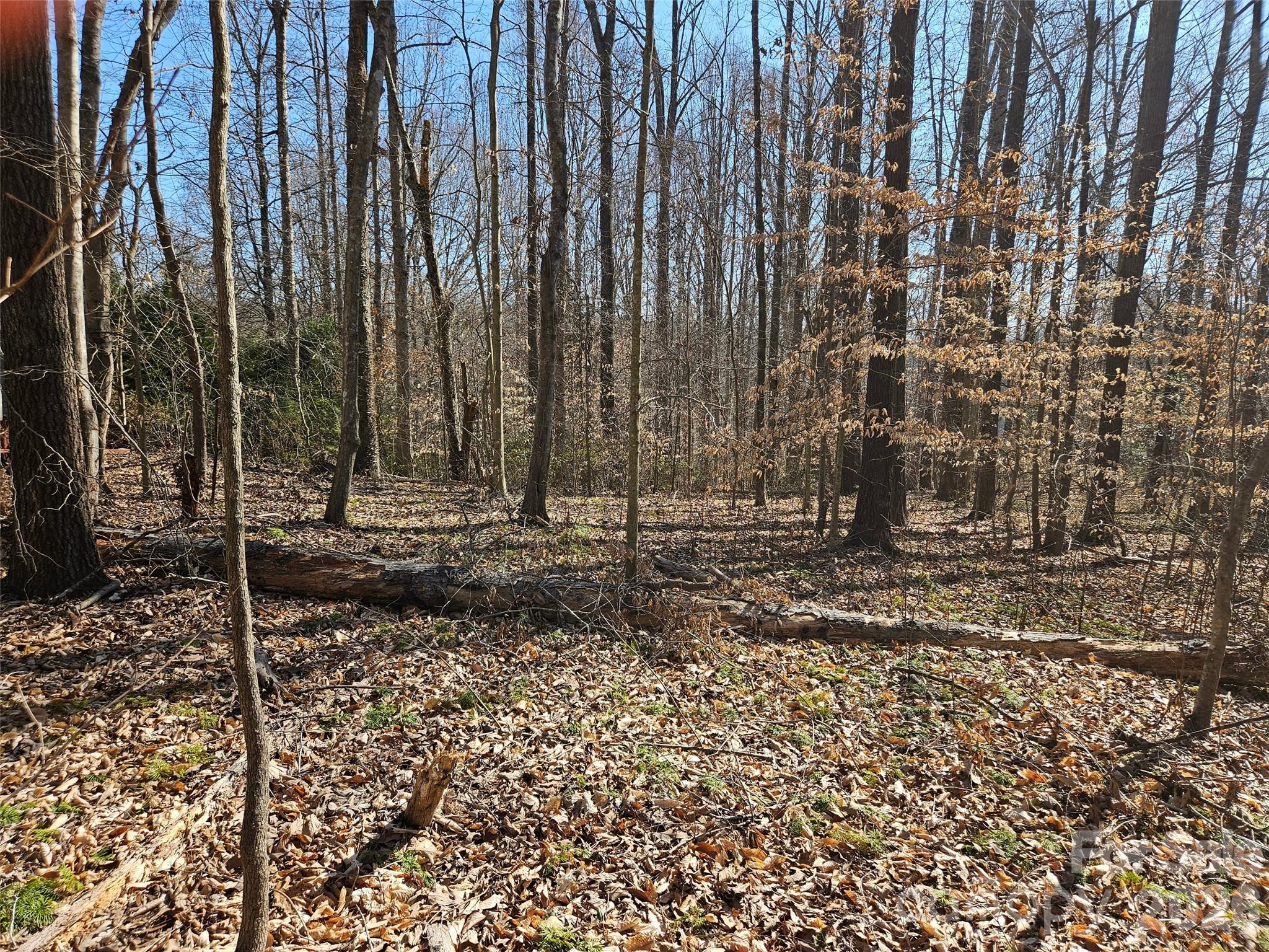 0 General Griffith Circle 37