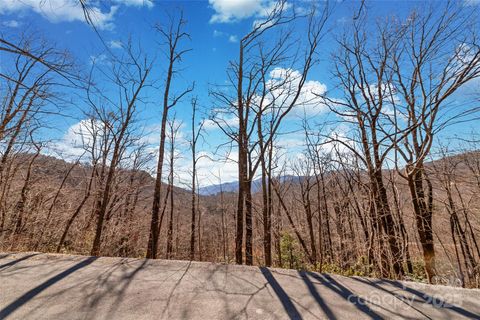 965 Wolf Pen Road Old Fort NC 28762