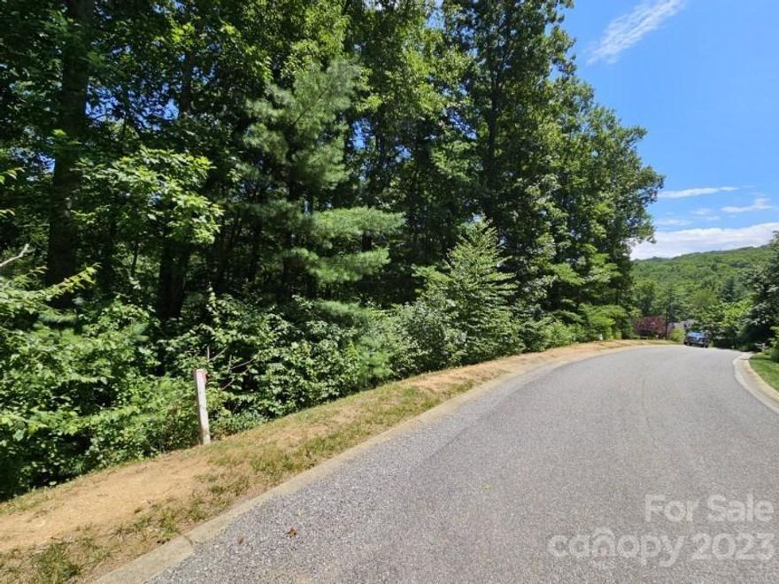 Poplar Ridge is one of Asheville's premier gated communities, just a short distance from the thriving metropolis of Asheville yet surrounded by expansive and enviable views of the Blue Ridge Mountains. With elevations ranging from 2,300 to 3,300 feet, Poplar Ridge also offers two gated entry points, a playground with gathering spot, a small pond, and an overlook picnic area with awe-inspiring mountain vistas. Located in a highly desirable school district, Poplar Ridge is also close to dining, shopping, medical facilities and a regional airport. This parcel features wooded, private setting.