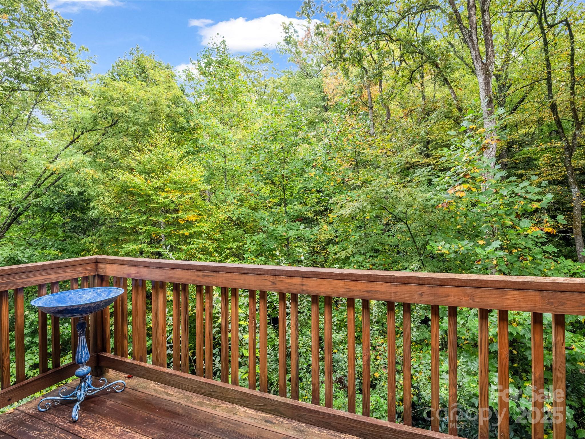 Davis Mountain Views - Residential