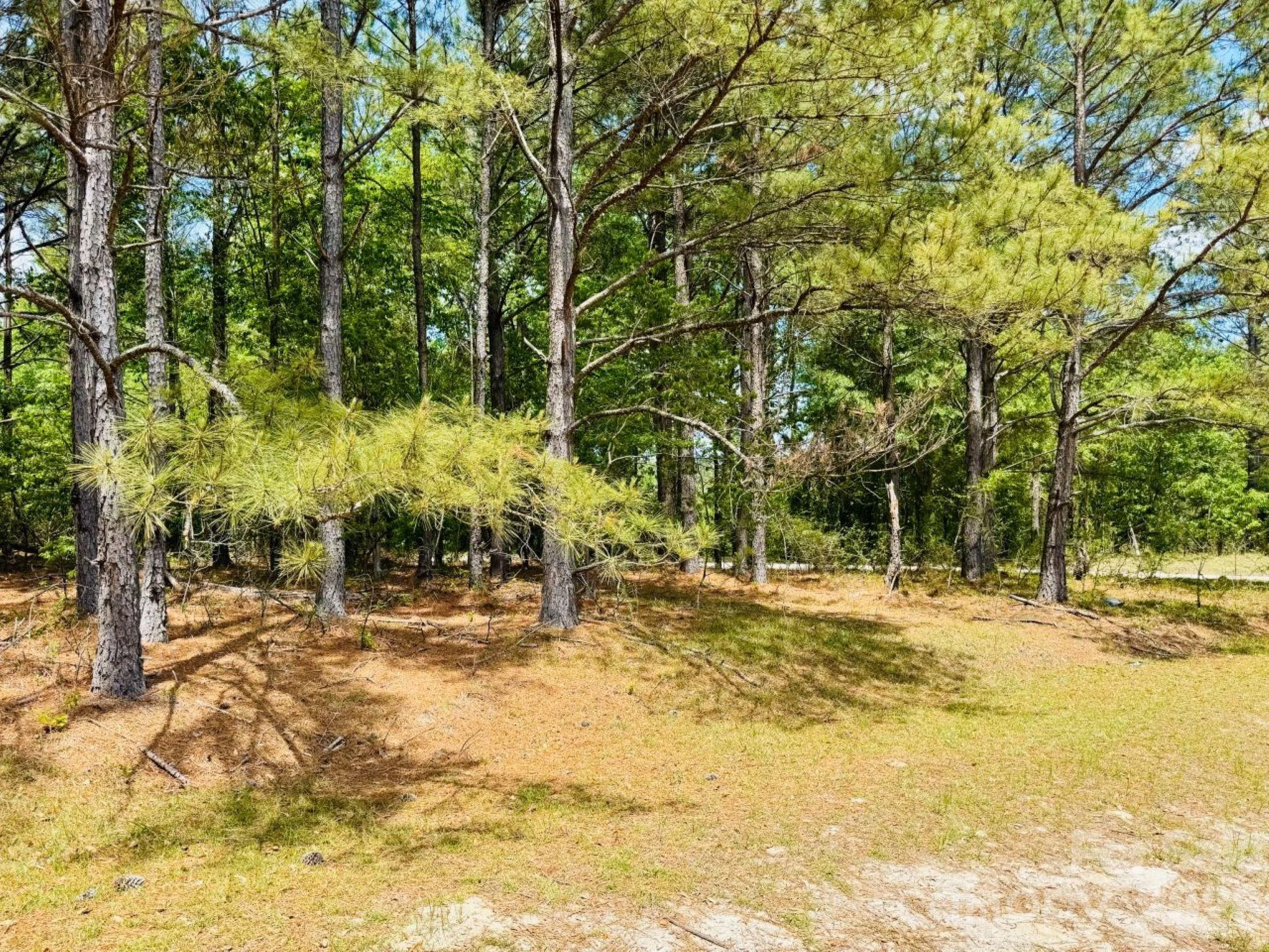385 Elbert Baskins Road, Cheraw, SC, 29520