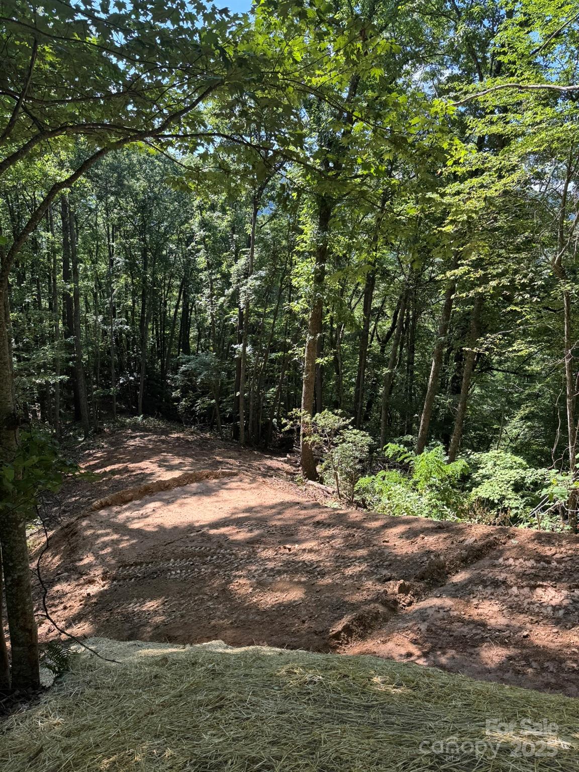 97 Hosta Drive