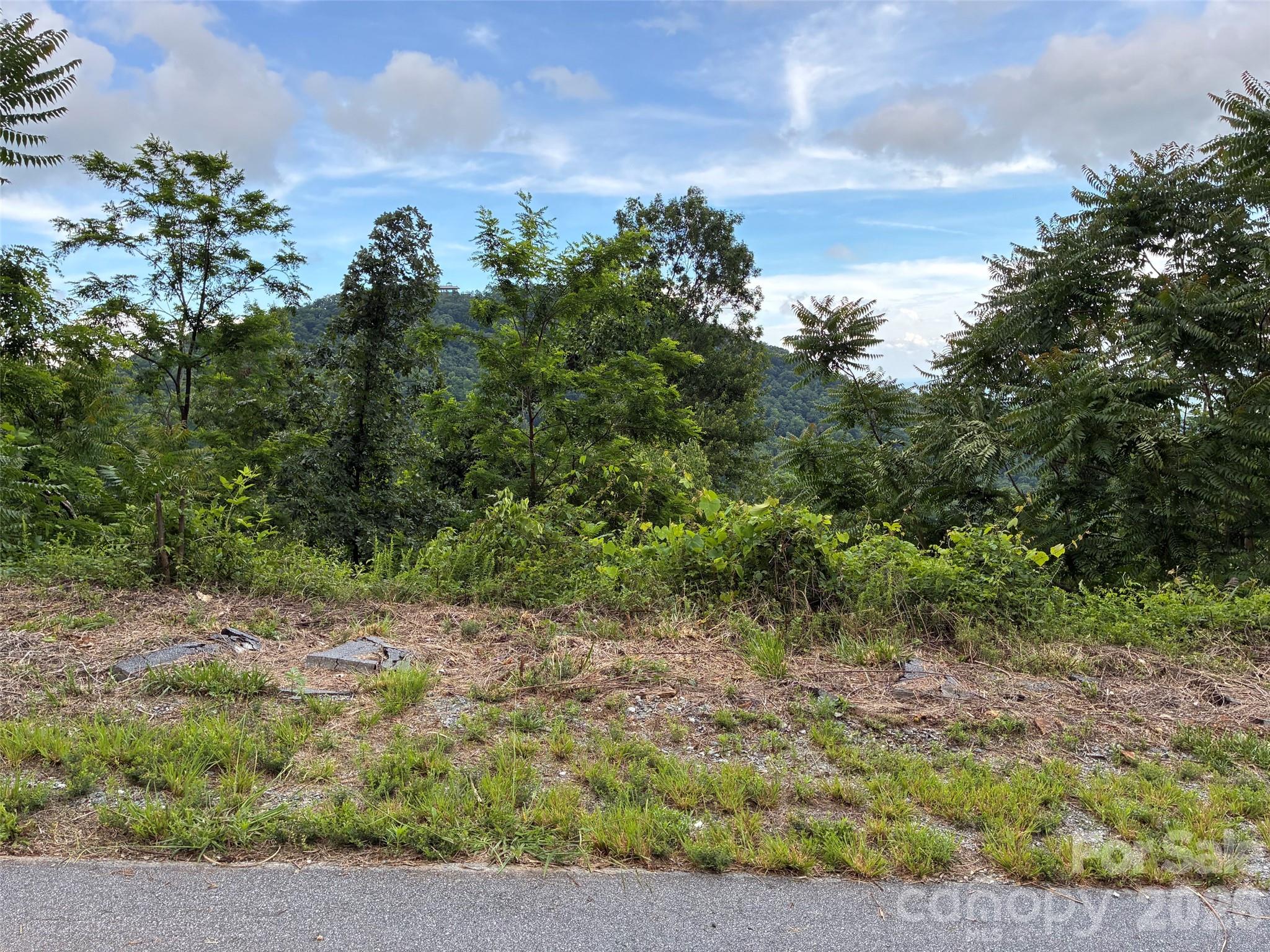 117 Devin Ridge Lane 117