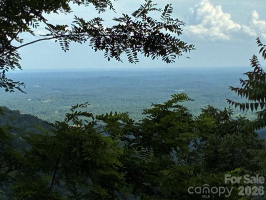 161 DEVIN RIDGE LN, UNION MILLS, NC 28167 - Image 9bd8923a2bbd5abccca839bbc76f5574/3902771282