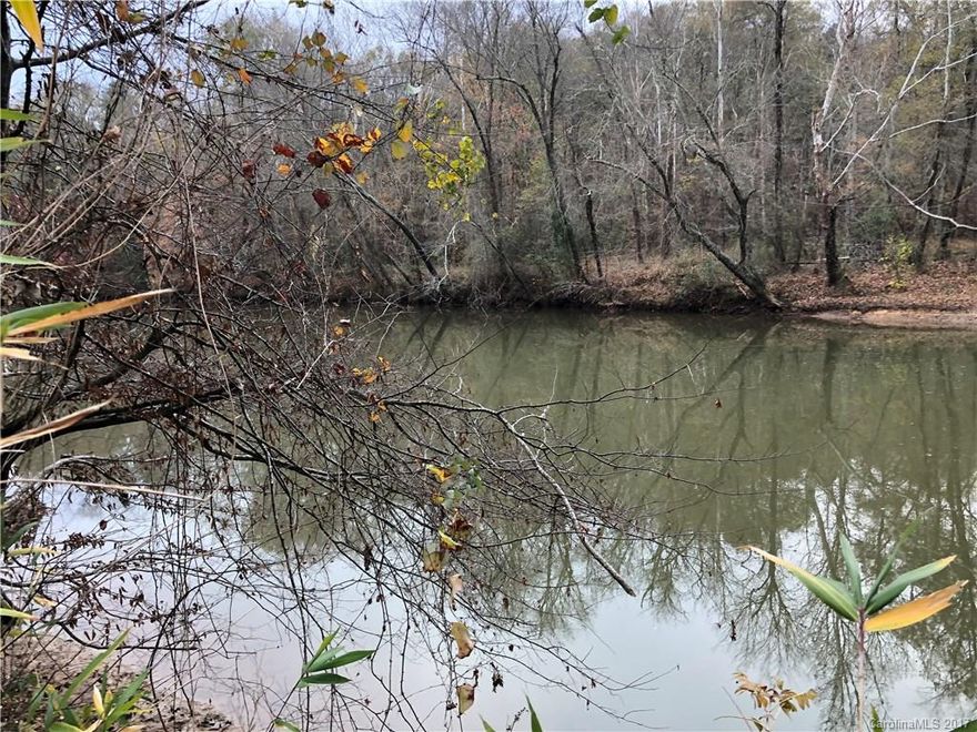 Gorgeous WATERFRONT land.  Some of the prettiest land in the foothills around.  Come and build your secluded new home or use the land for hunting and fishing.  Do NOT walk land without permission first please!