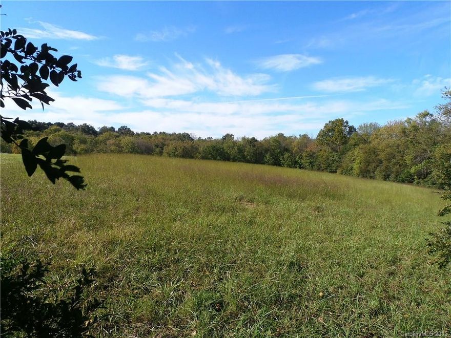 Beautiful 5 Acre lot, suitable for basement, adjacent to nice homes. Convenient to Concord, Charlotte & Monroe, 7 miles to I-485, Mint Hill. Part open, part wooded. Trees along right side & back.  Tree line blocking off highway view.  Creek on back of property. 
Potential for Owner Financing.