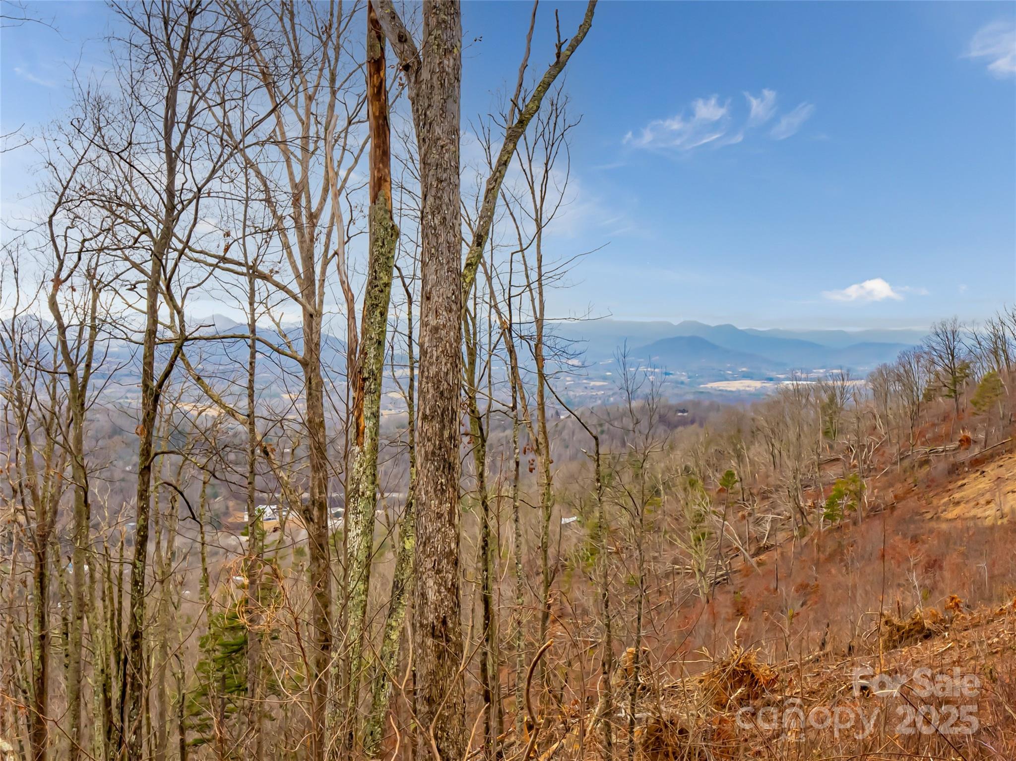 99999 Serenity Ridge Trail 35