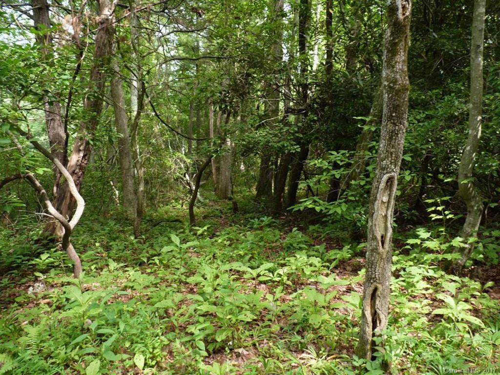 Champion Hills - Land