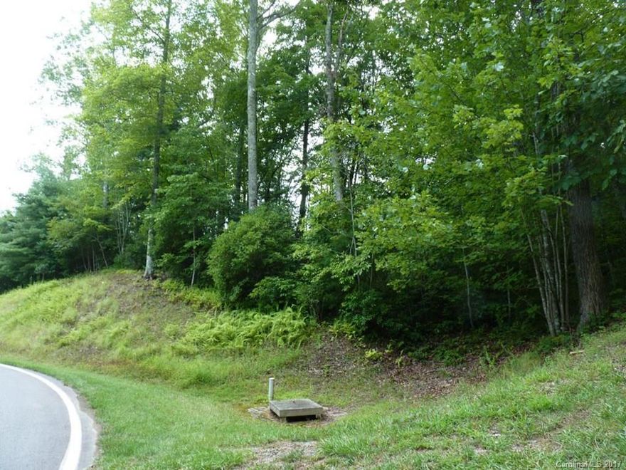 Great lot, beautiful hardwoods & very private. Level building site could be for 1 level home or walk out lower level, lower foundation cost. Champion Hills is a friendly, member owned community with all amenities completed & large cash reserves. Only 5 miles to downtown Hendersonville & the Fresh Market. City water, community sewer system, natural gas, underground utilities & 24 hour roving security. A wonderful place to call home!
