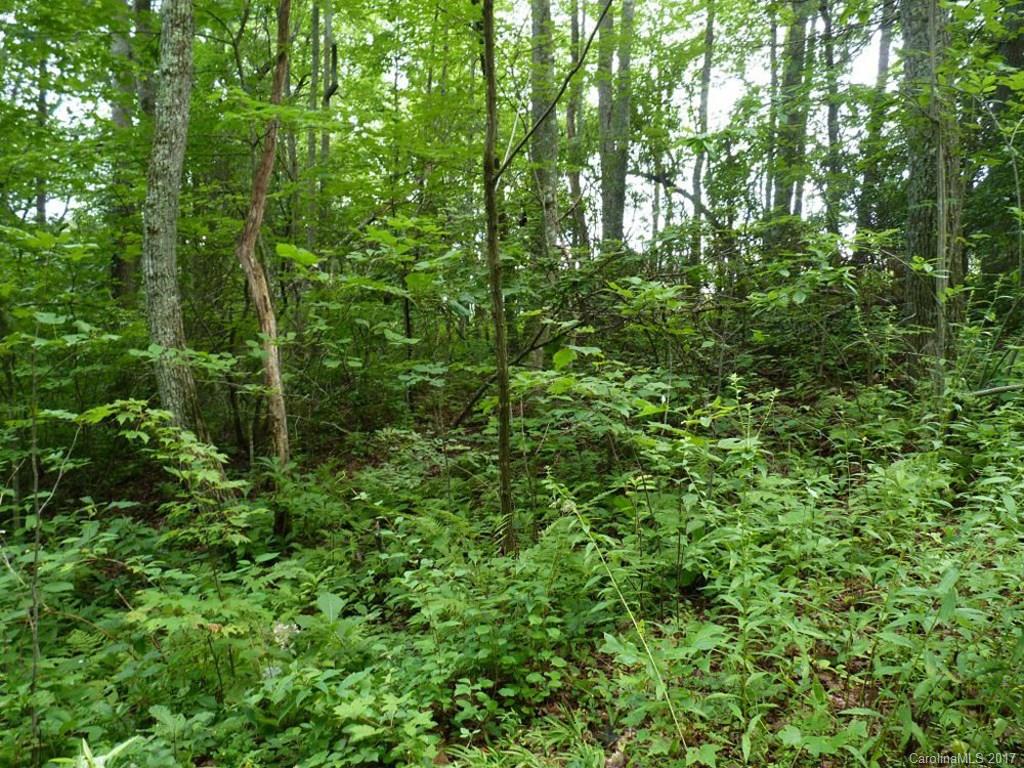 Champion Hills - Land