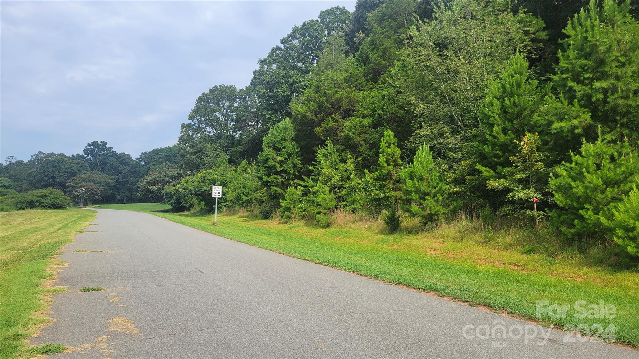 Whitener Ridge - Land