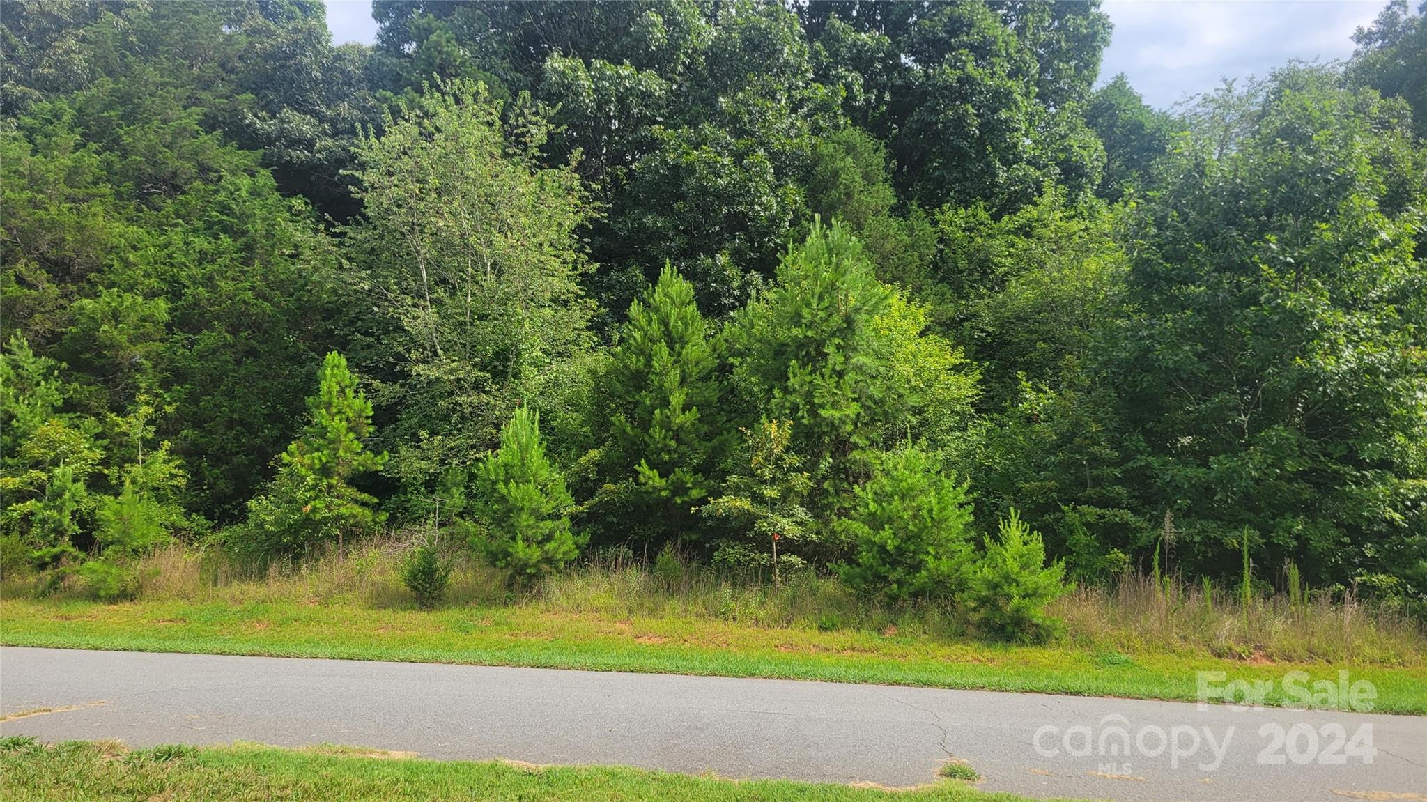 Whitener Ridge - Land