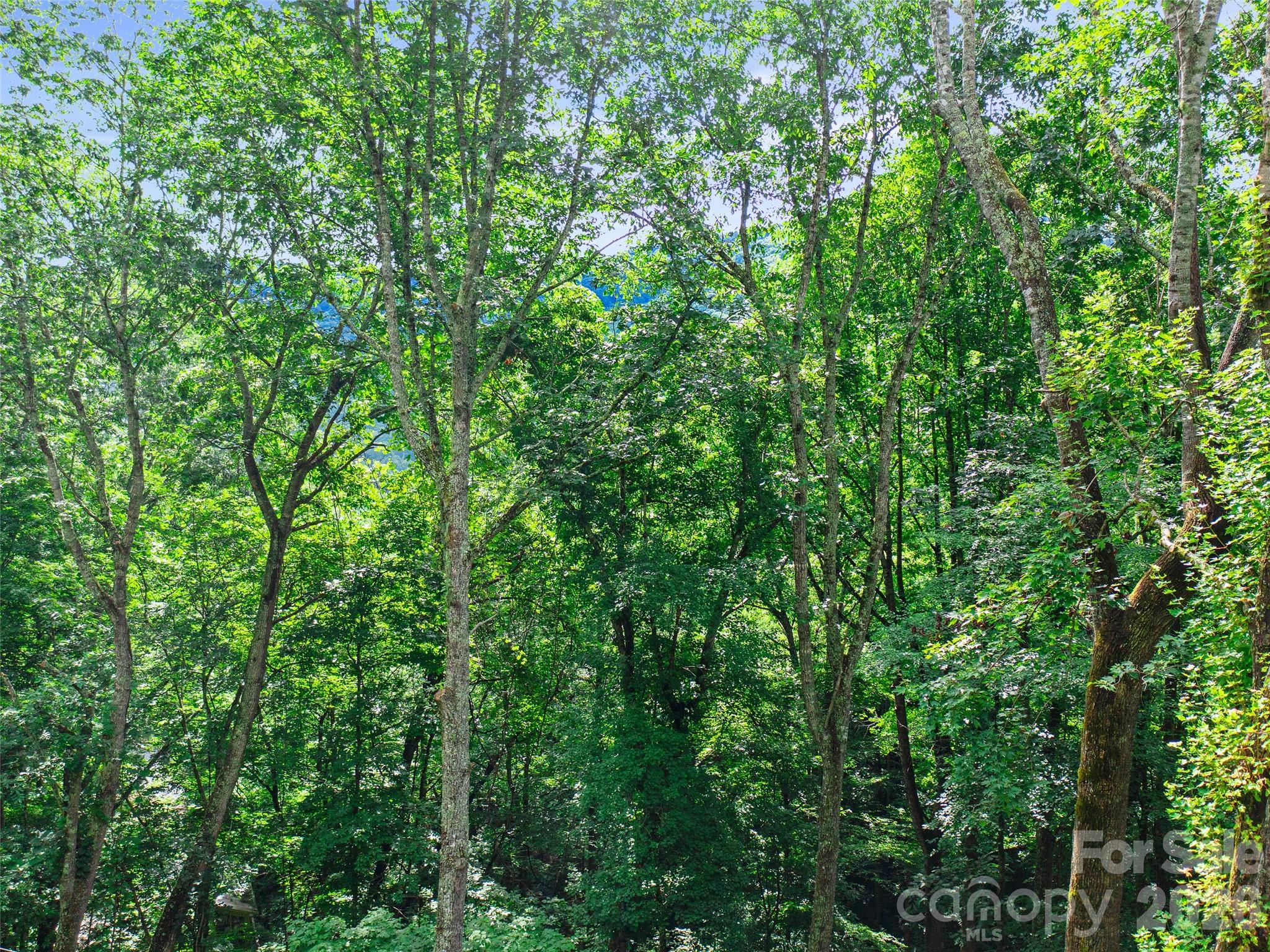 000 Falling Water Drive