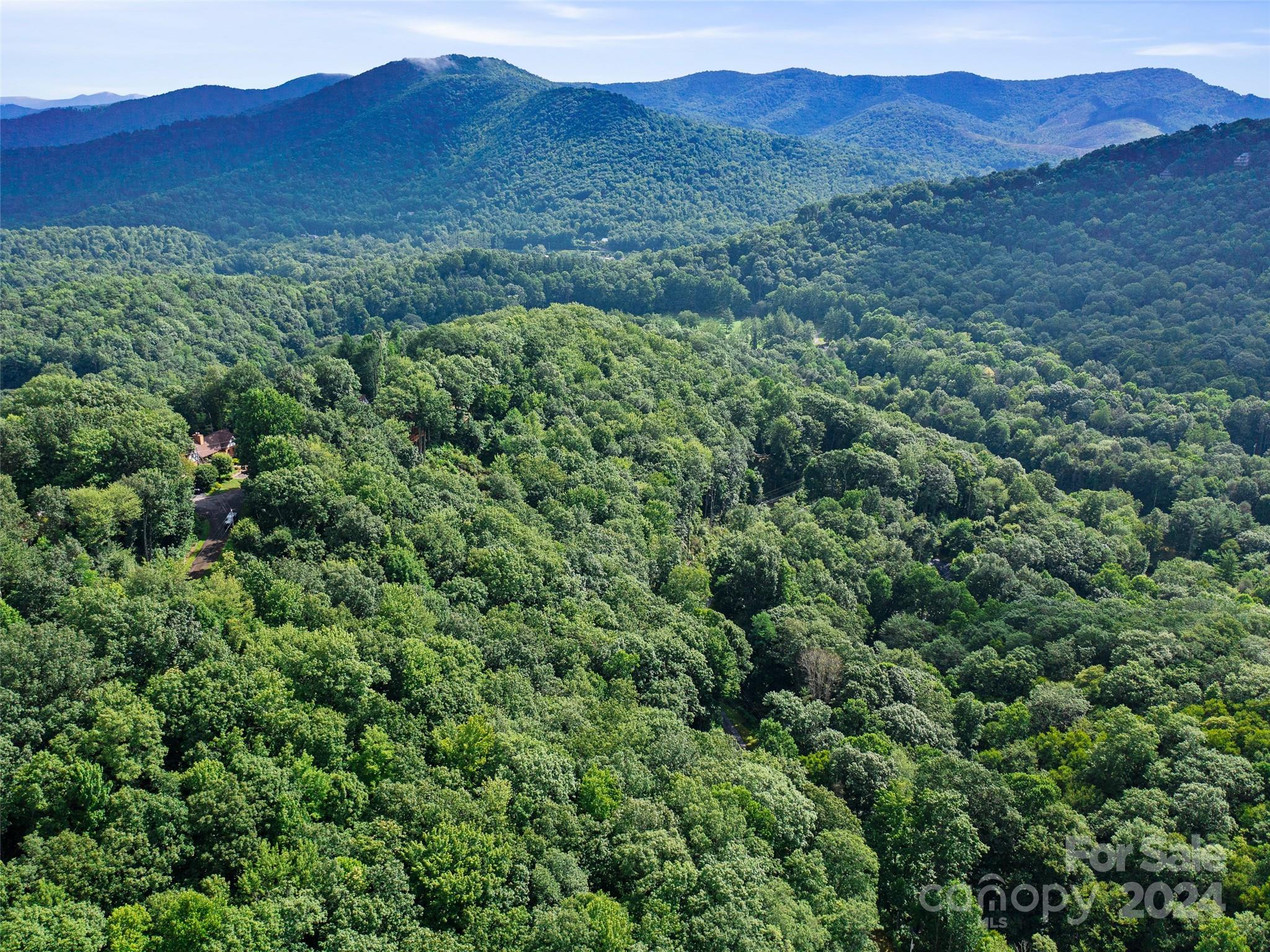 Mount Mitchell Lands West - Land