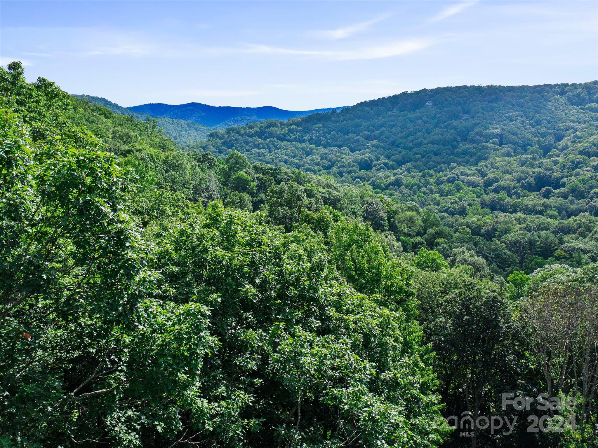 Mount Mitchell Lands West - Land