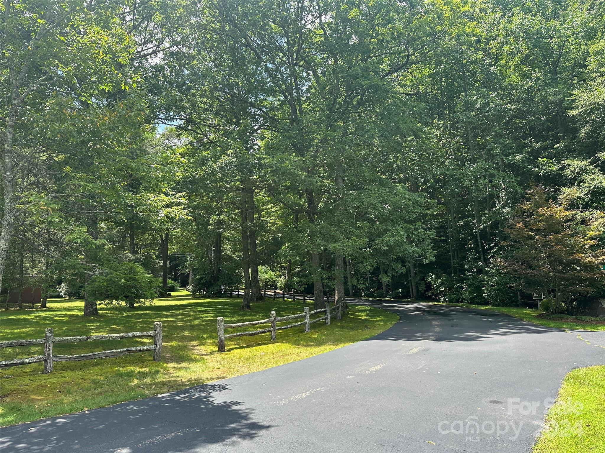 Mount Mitchell Lands West - Land