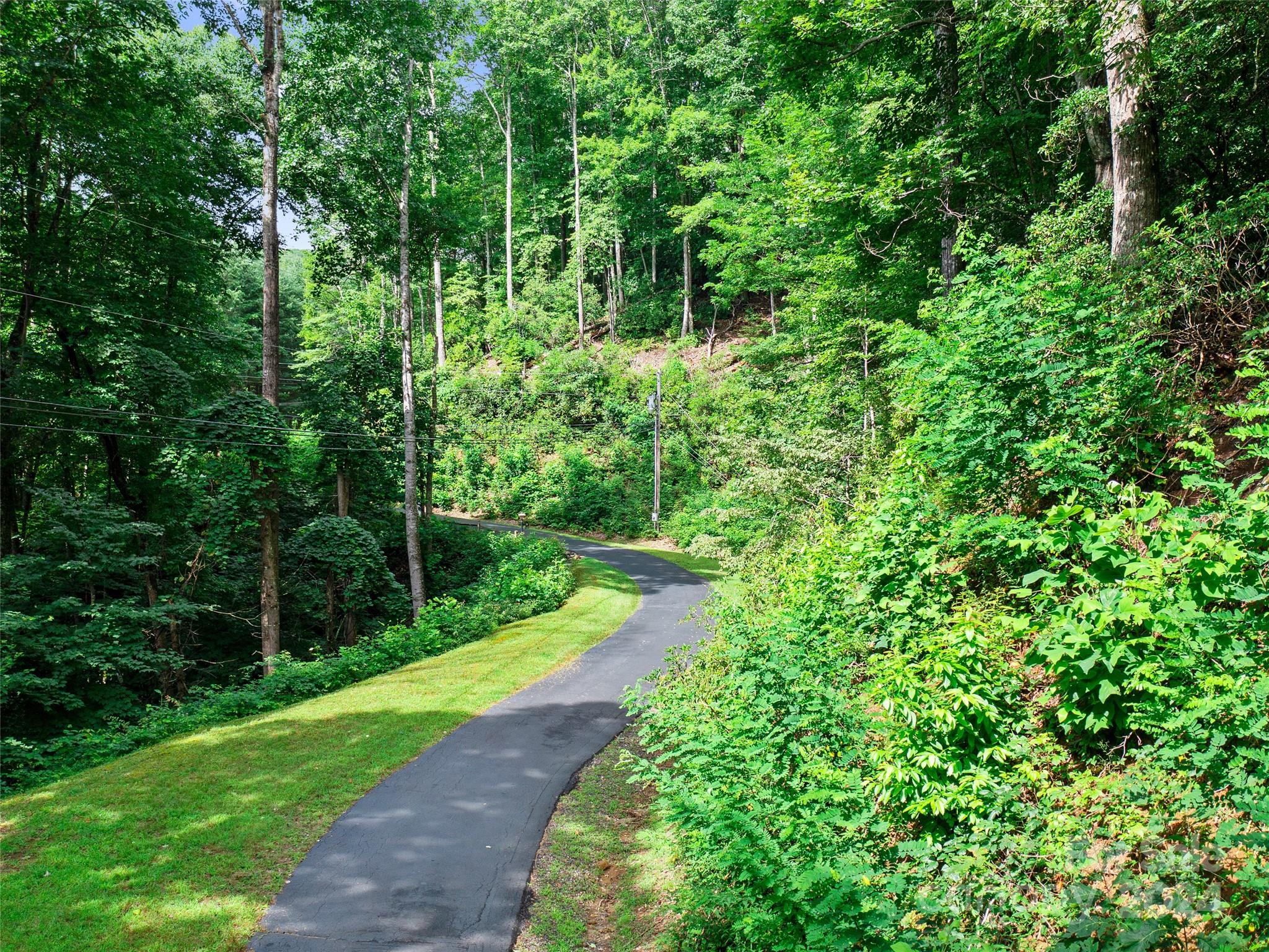 Mount Mitchell Lands West - Land