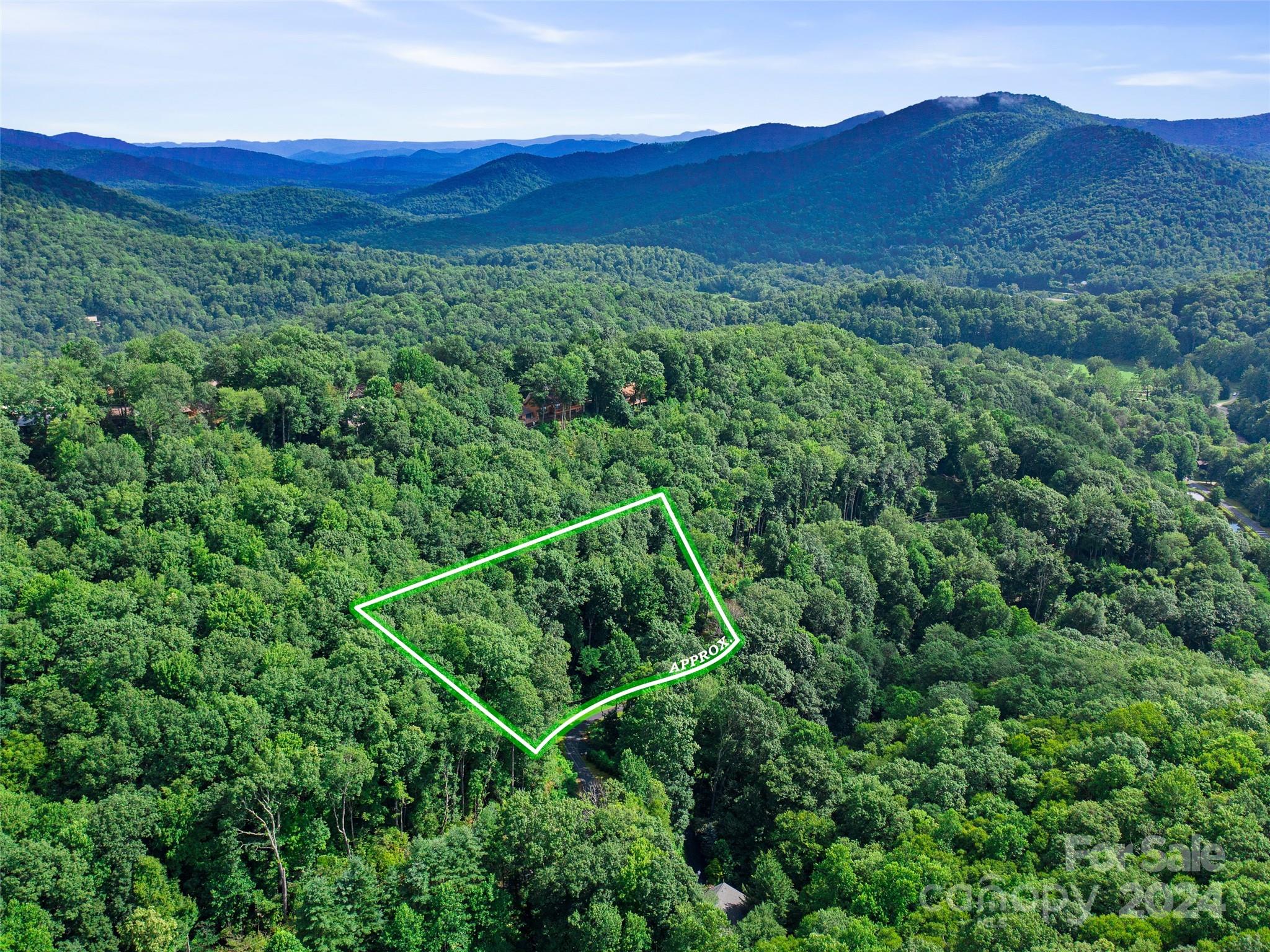 Mount Mitchell Lands West - Land