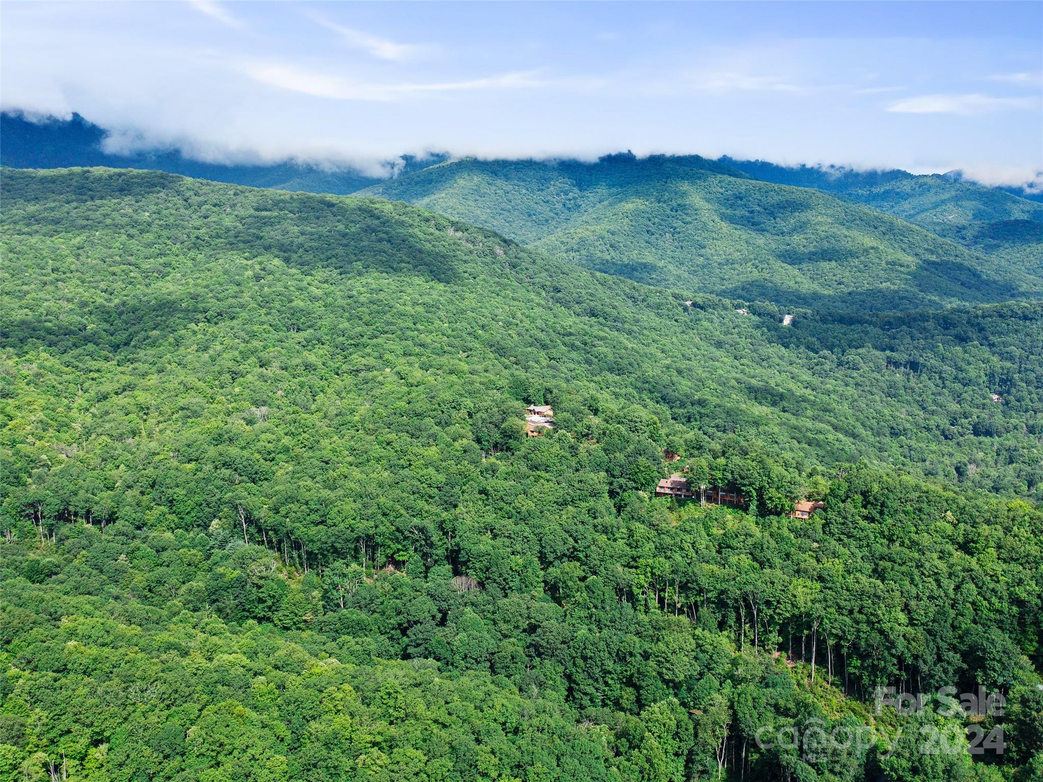 Mount Mitchell Lands West - Land