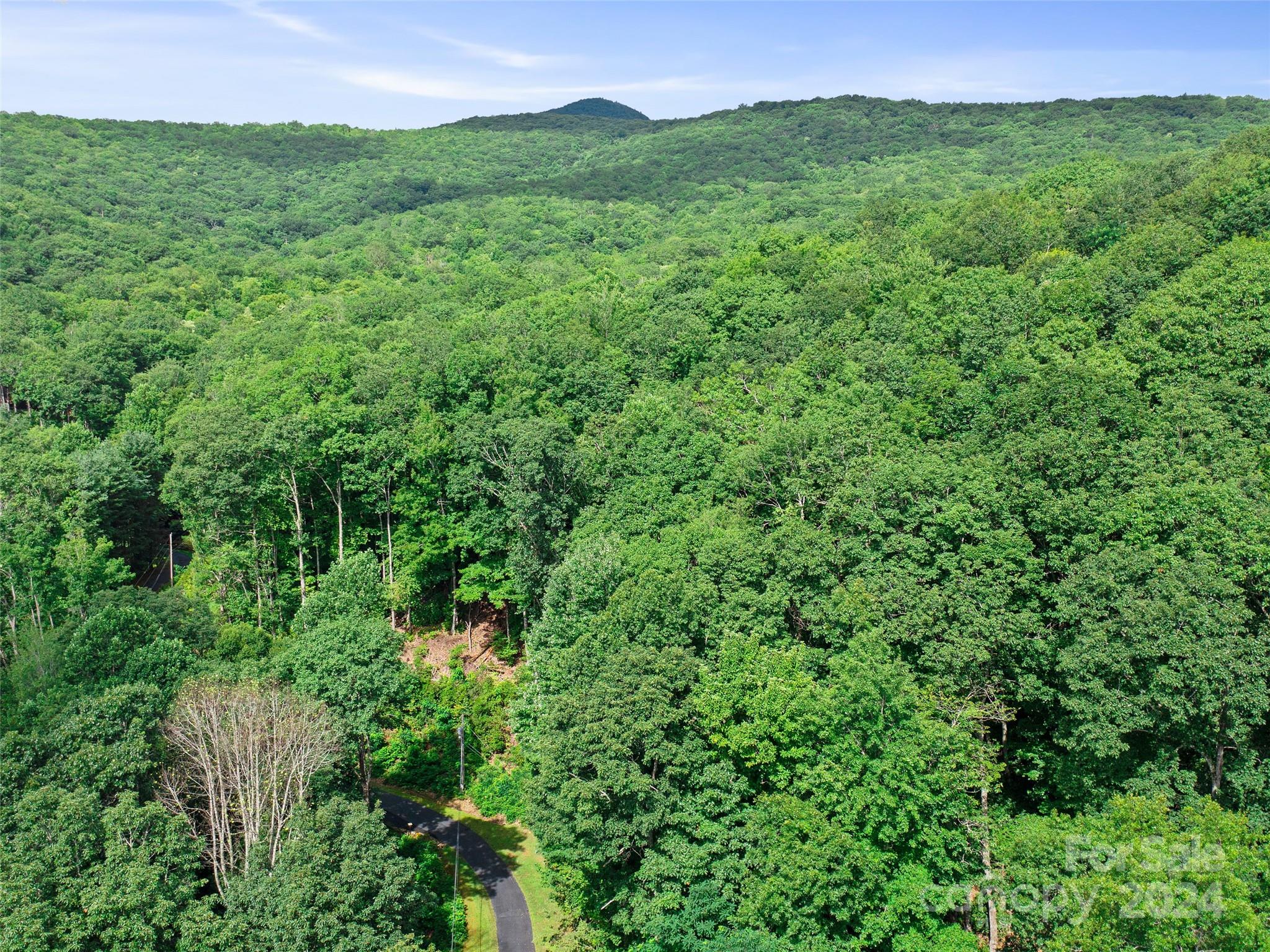 Mount Mitchell Lands West - Land