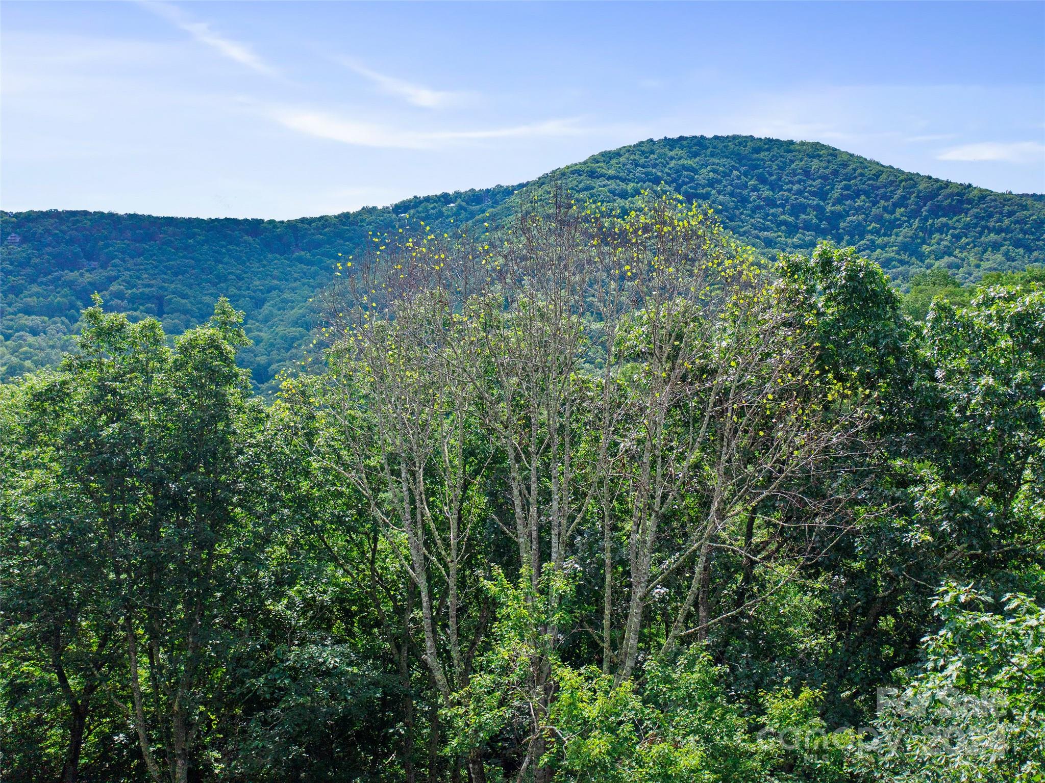 Mount Mitchell Lands West - Land