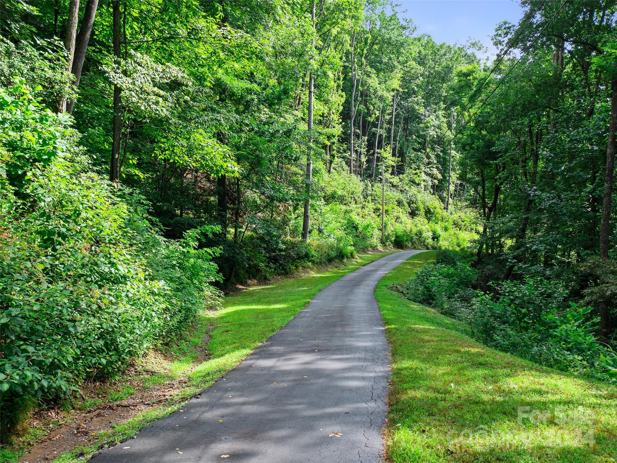 Mount Mitchell Lands West - Land