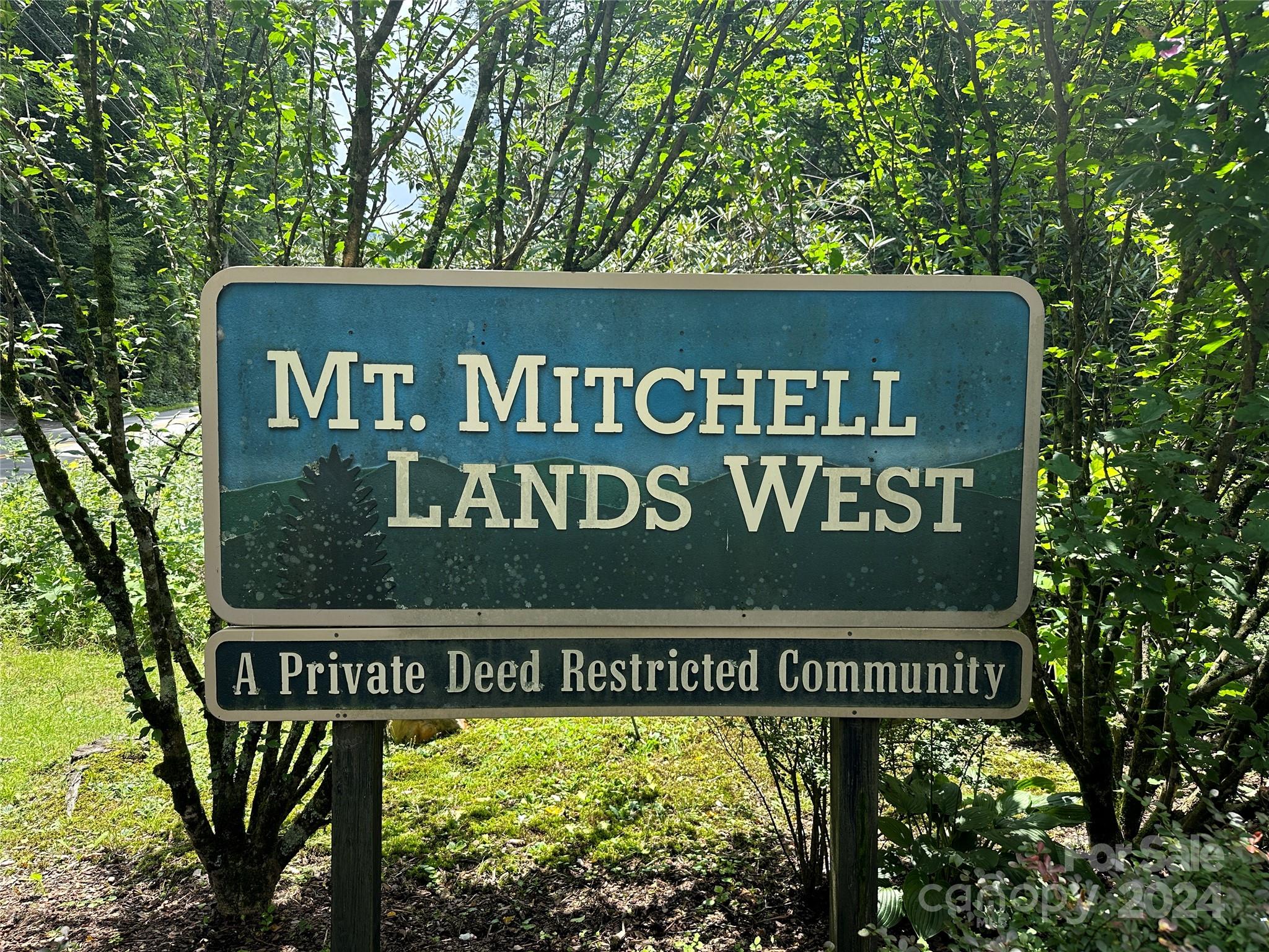 Mount Mitchell Lands West - Land