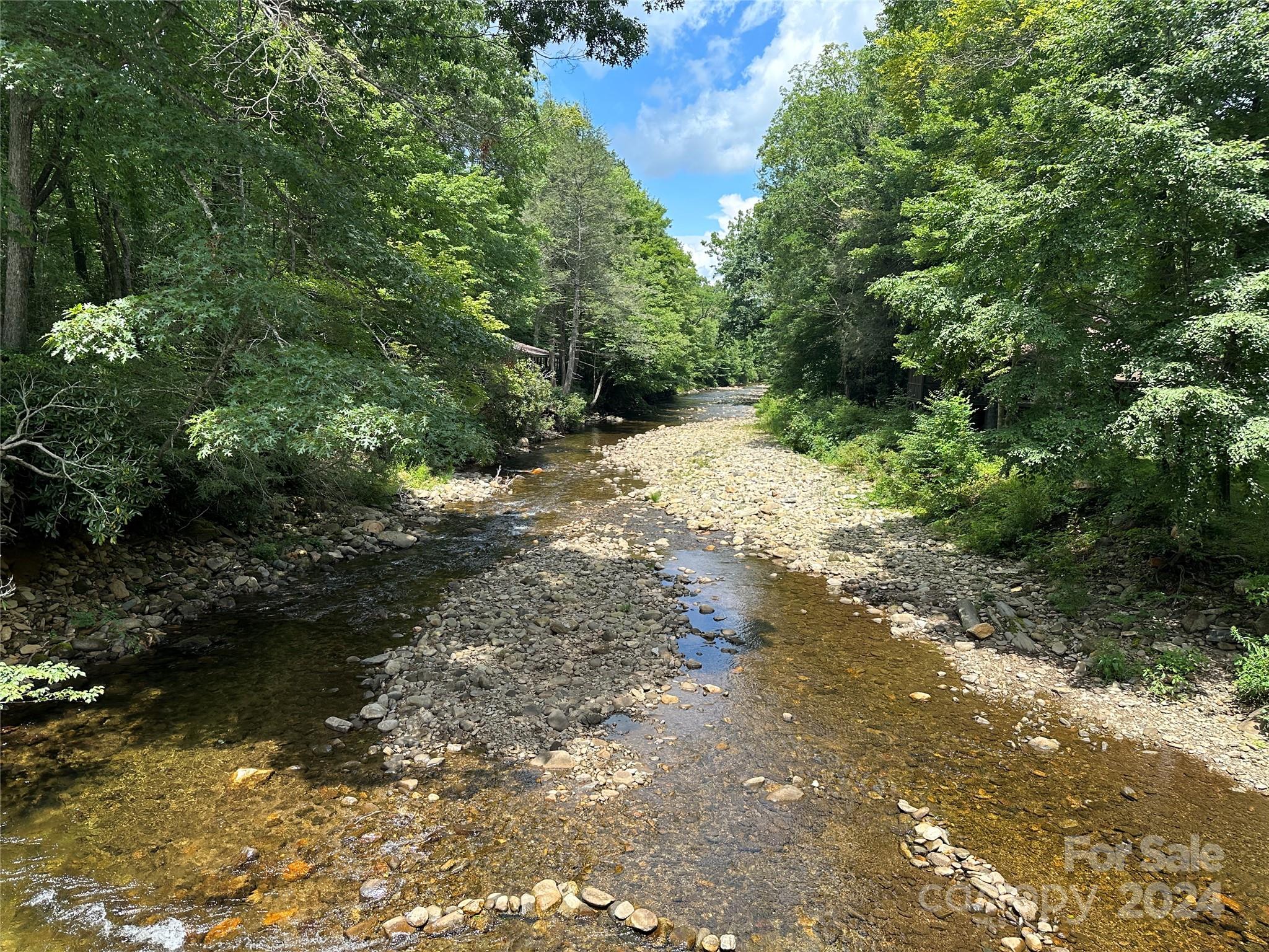 Mount Mitchell Lands West - Land