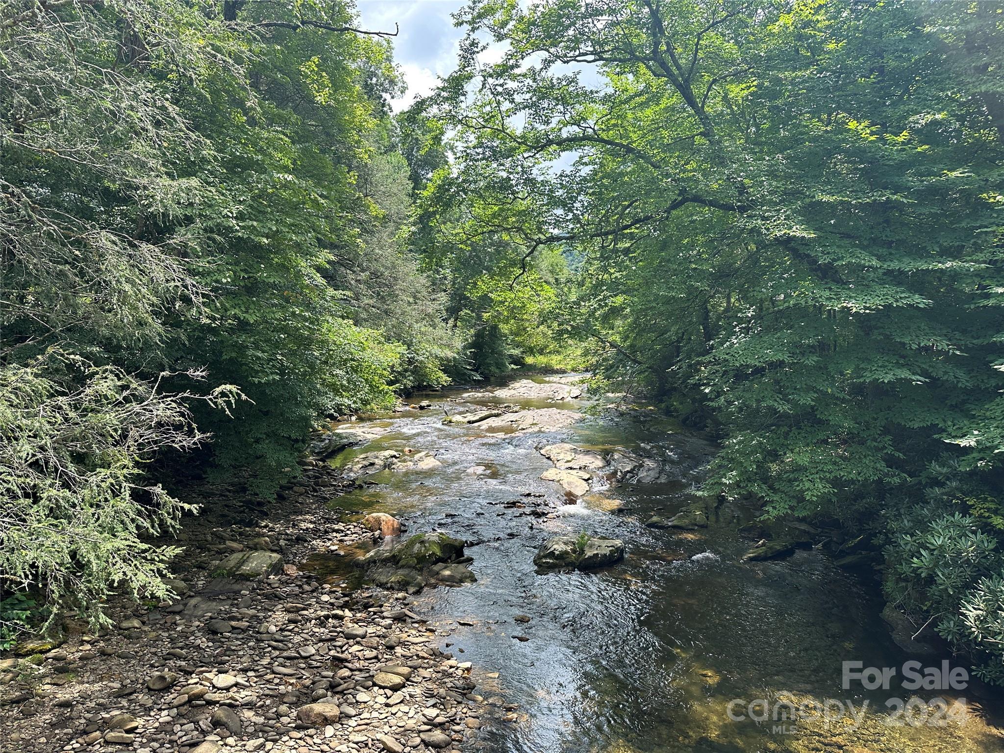 Mount Mitchell Lands West - Land