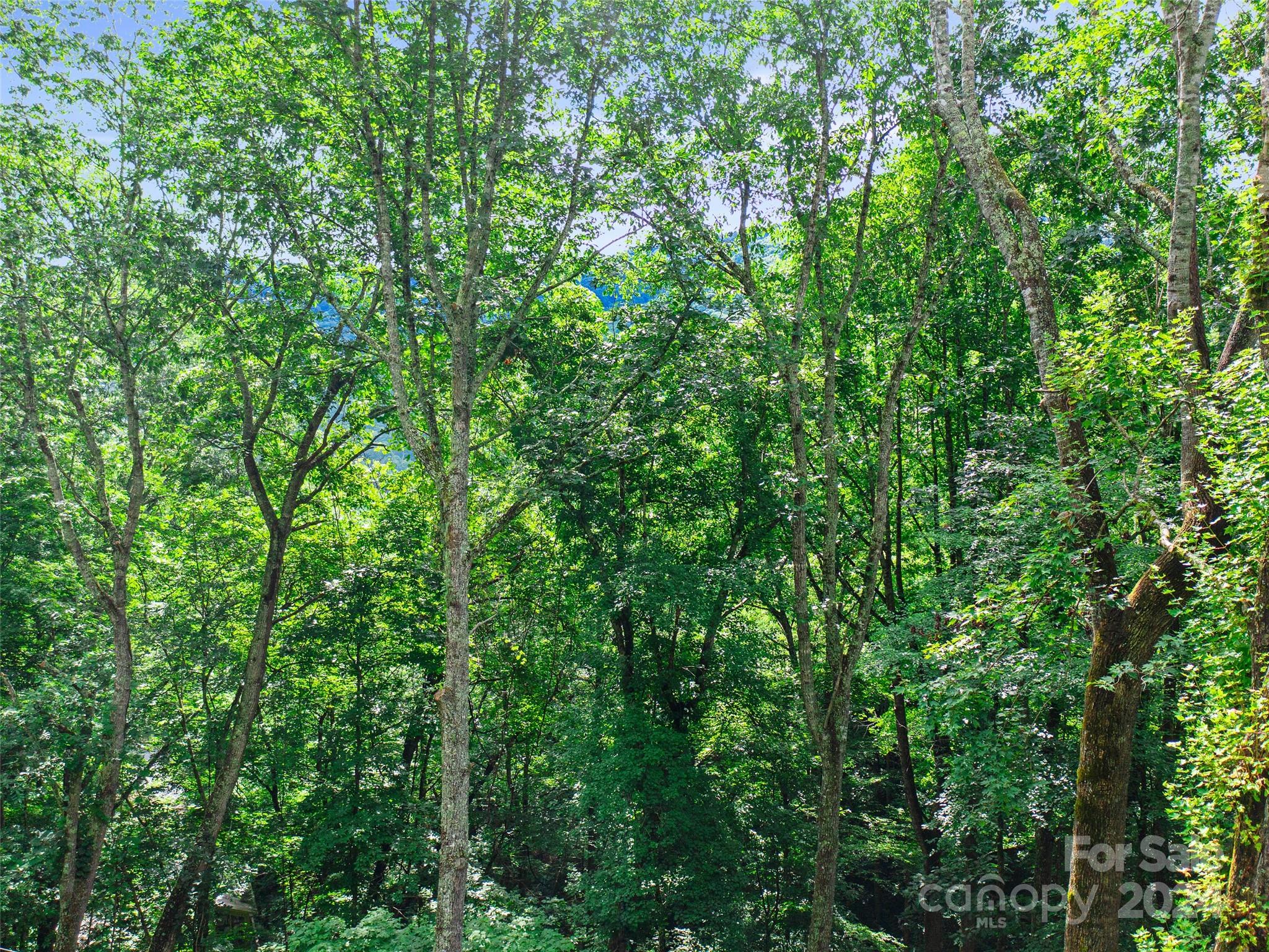 000 Falling Water Drive