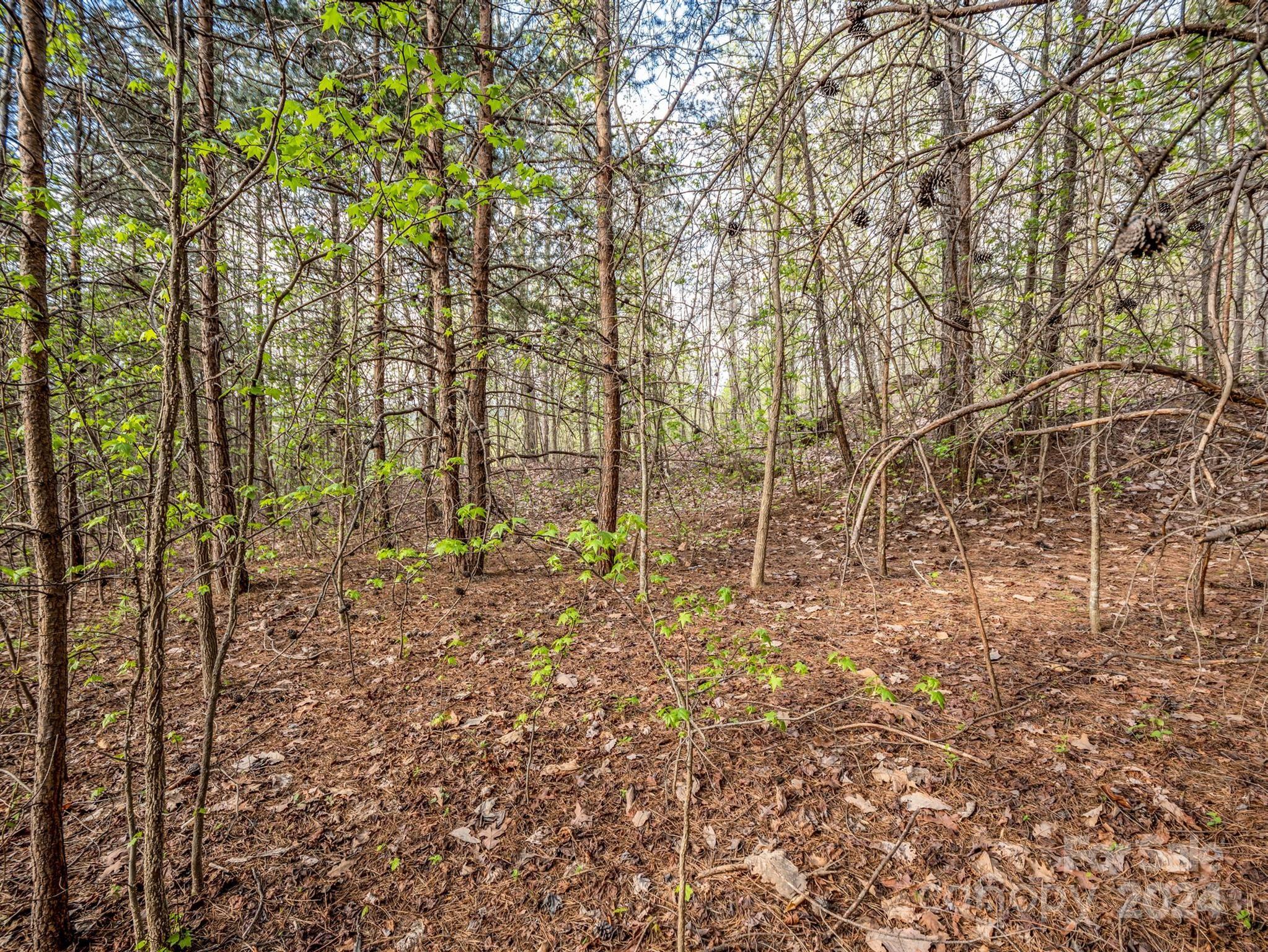 Cherry Mountain Trail - Land