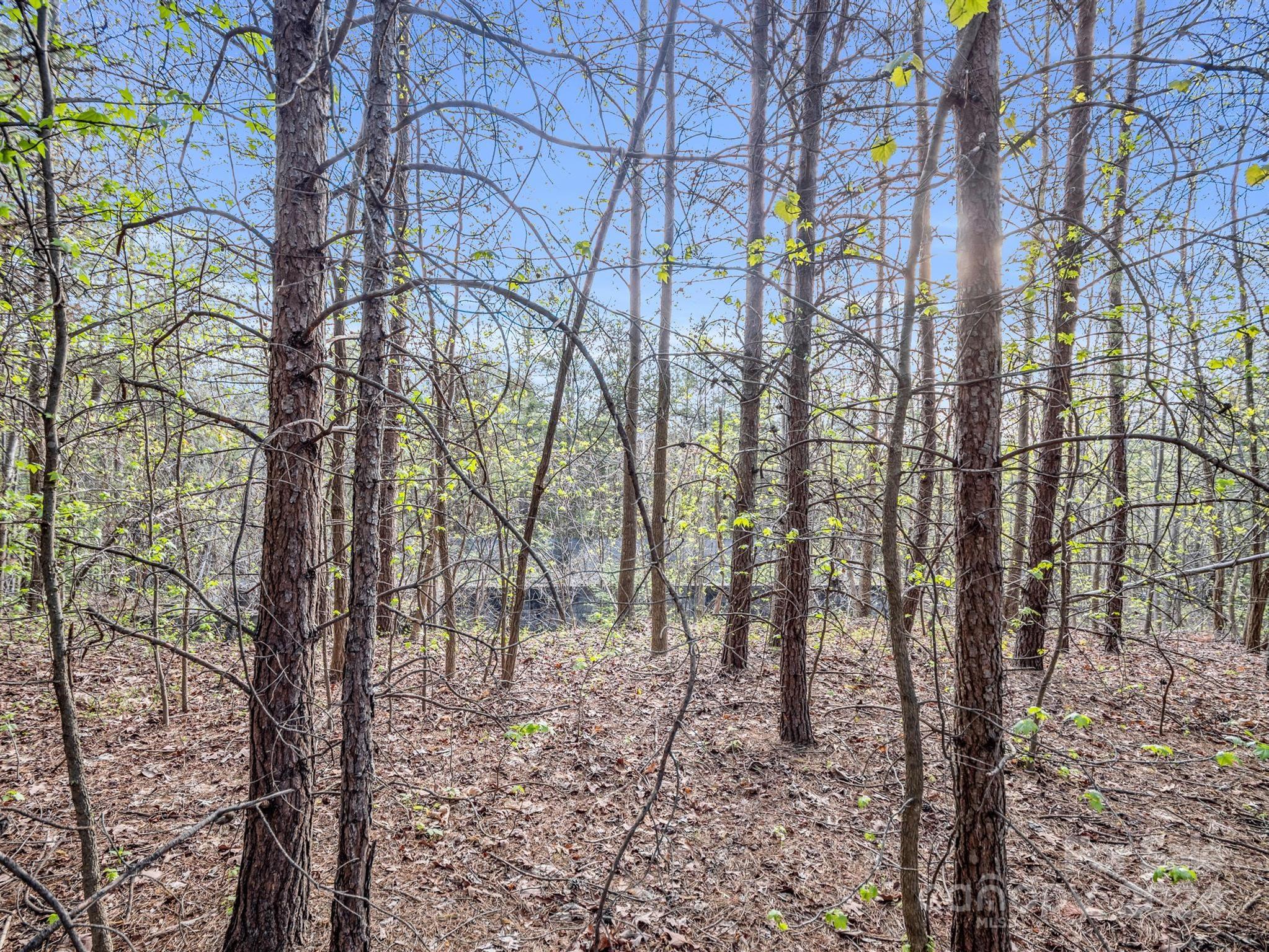 Cherry Mountain Trail - Land