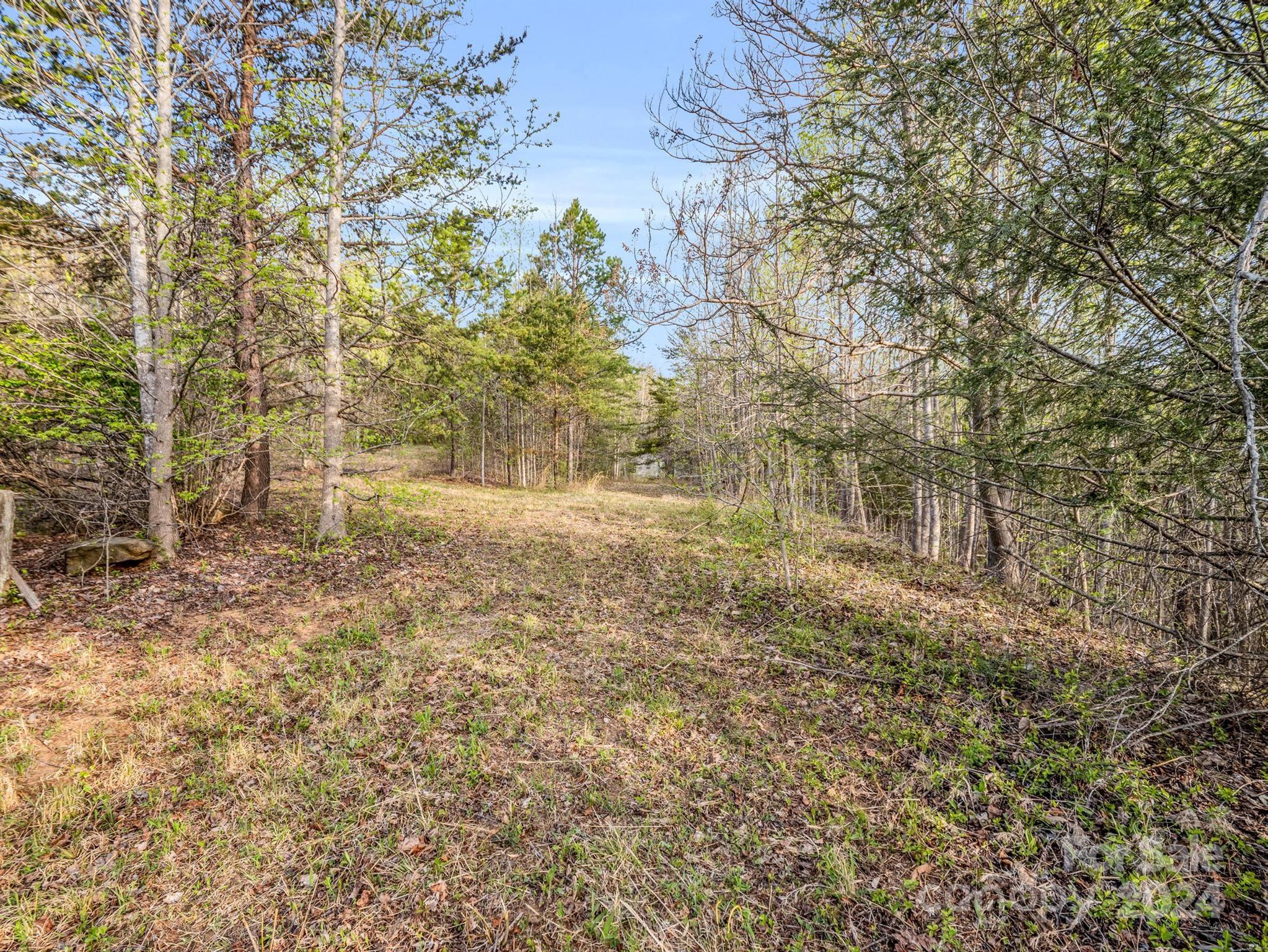 Cherry Mountain Trail - Land