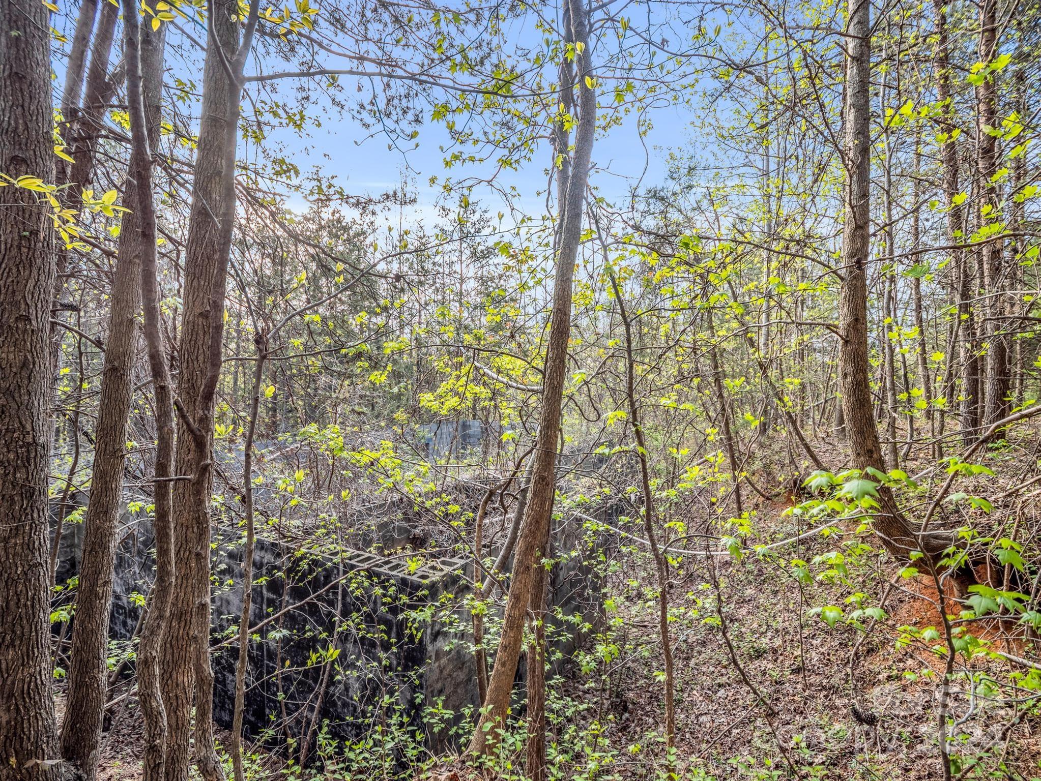 Cherry Mountain Trail - Land