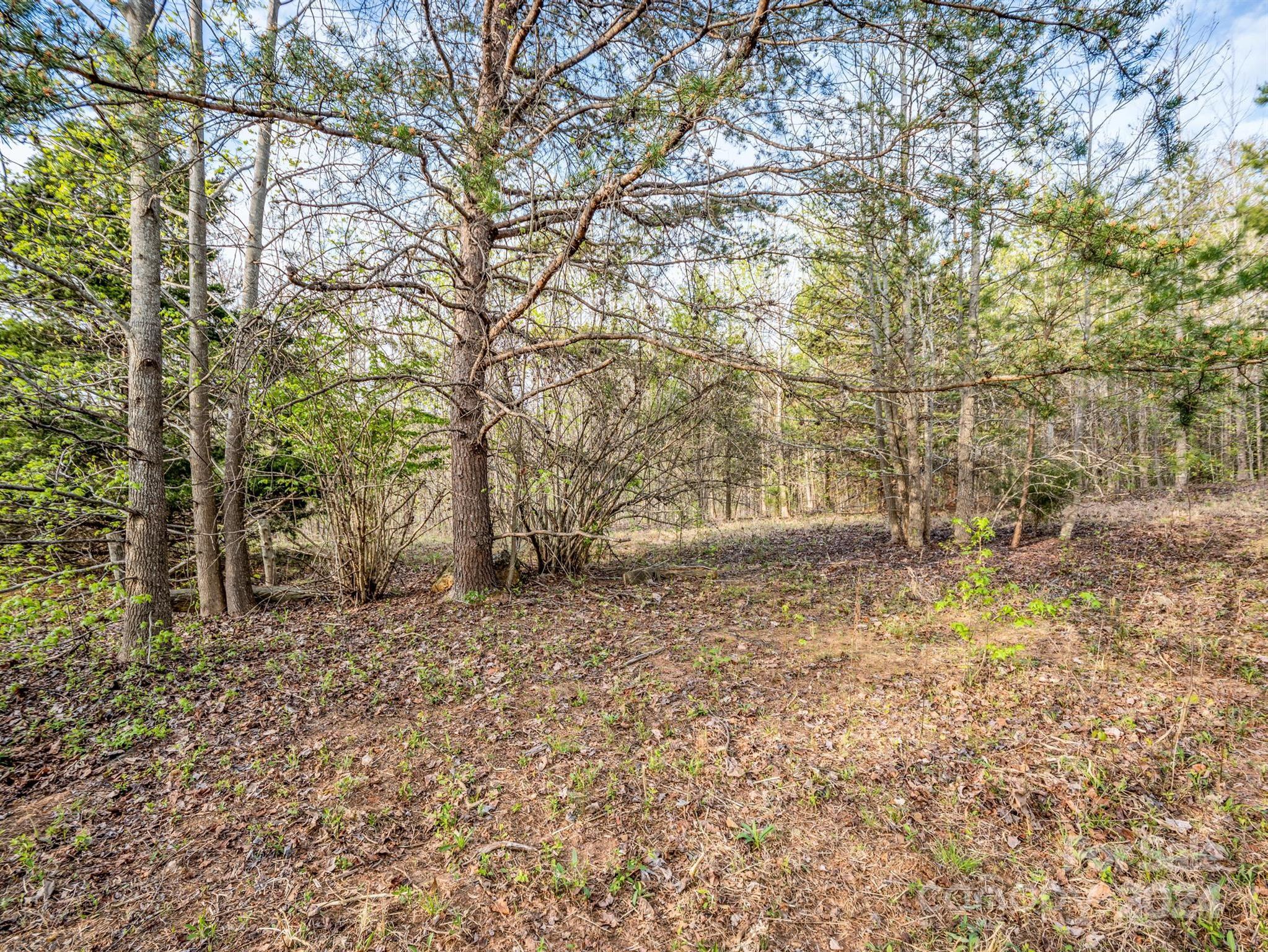 Cherry Mountain Trail - Land