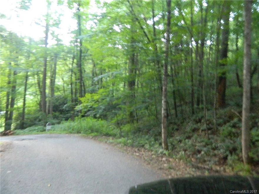 Here's that large private lot close to town. Wooded 3.4 acres, less than 2 miles from downtown Brevard. Some views possible with clearing. Paved road frontage. In area of nice homes. Small quaint subdivision, in park like setting.